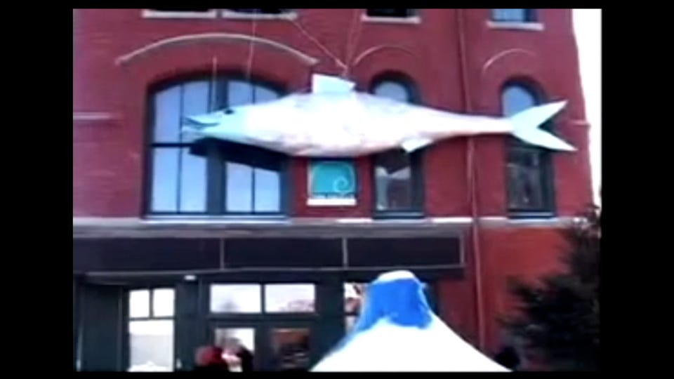 The Sad But True Story of Sally The World's Largest Sardine