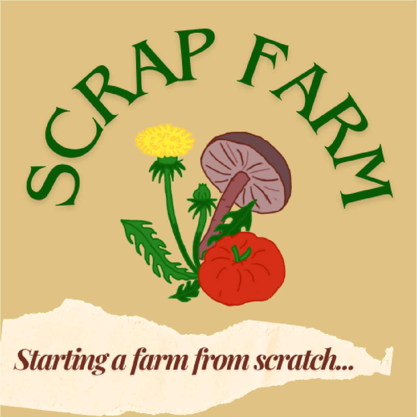 Scrap Farm- Starting a "regenerative" farm from scratch