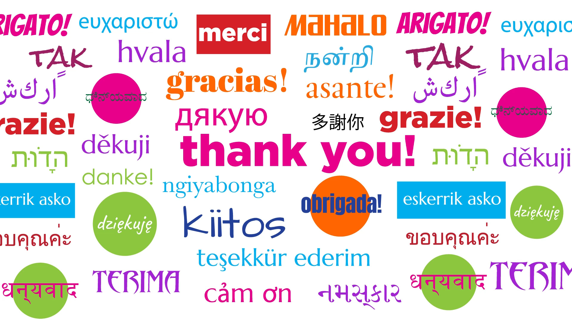 The Next Write Thing: Real Life Stories by Nan Tepper