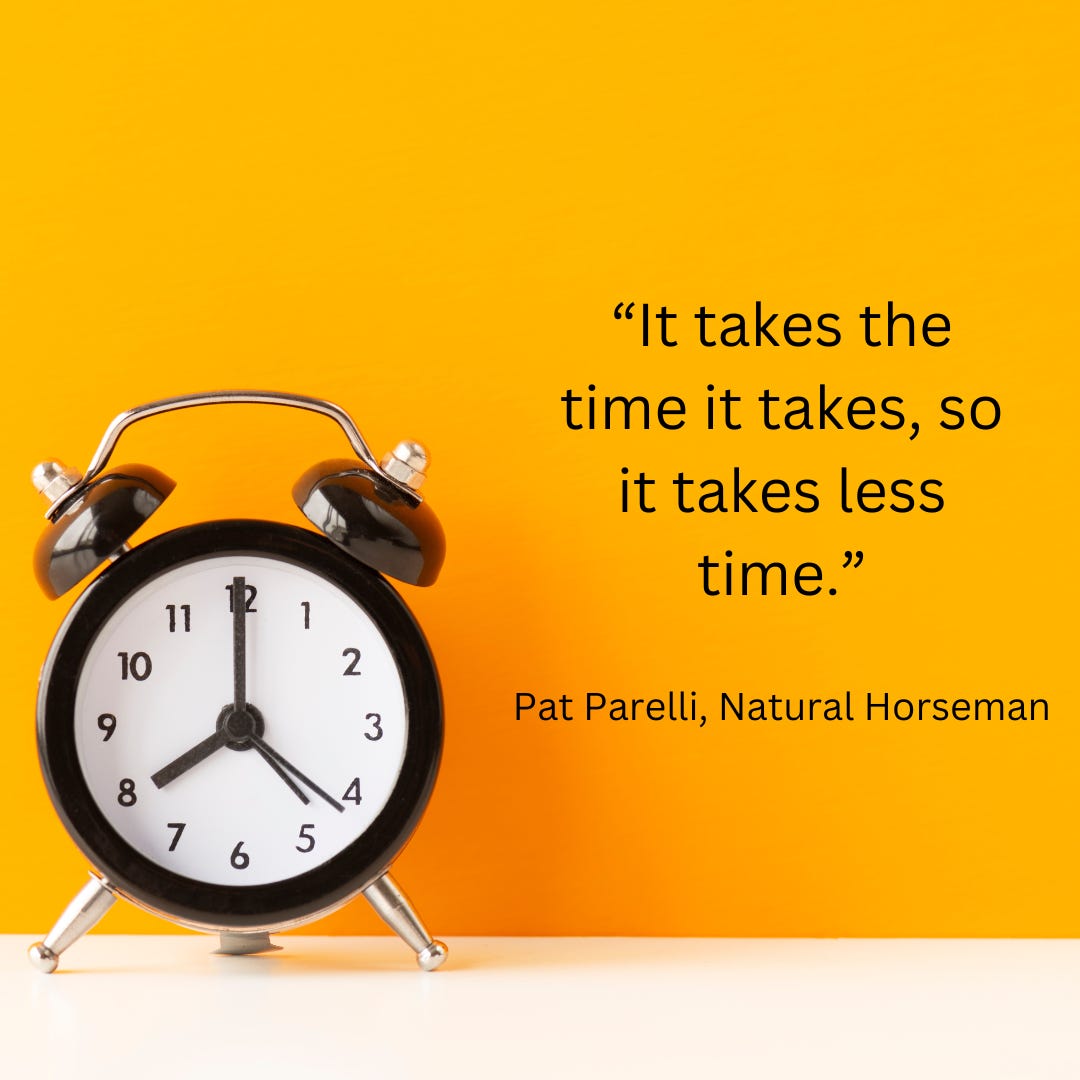 Episode #5: It Takes The Time It Takes Episode #5: It Takes The Time It Takes