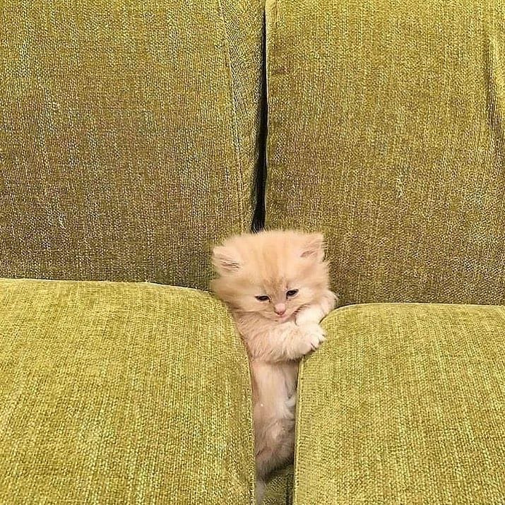 Episode #13: Between The Cushions Episode #13: Between The Cushions