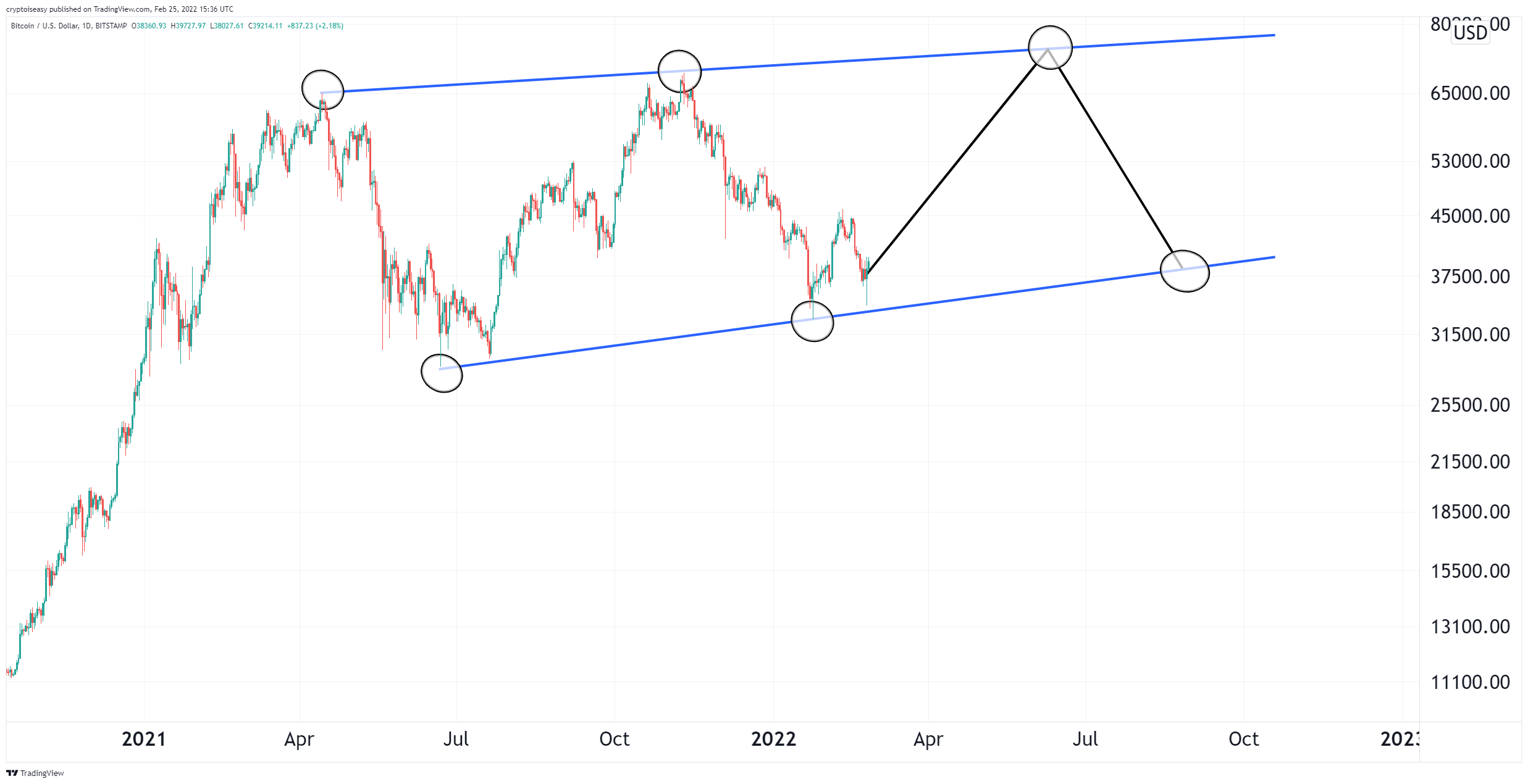 Crypto is Easy: Insights for Profitable Investors