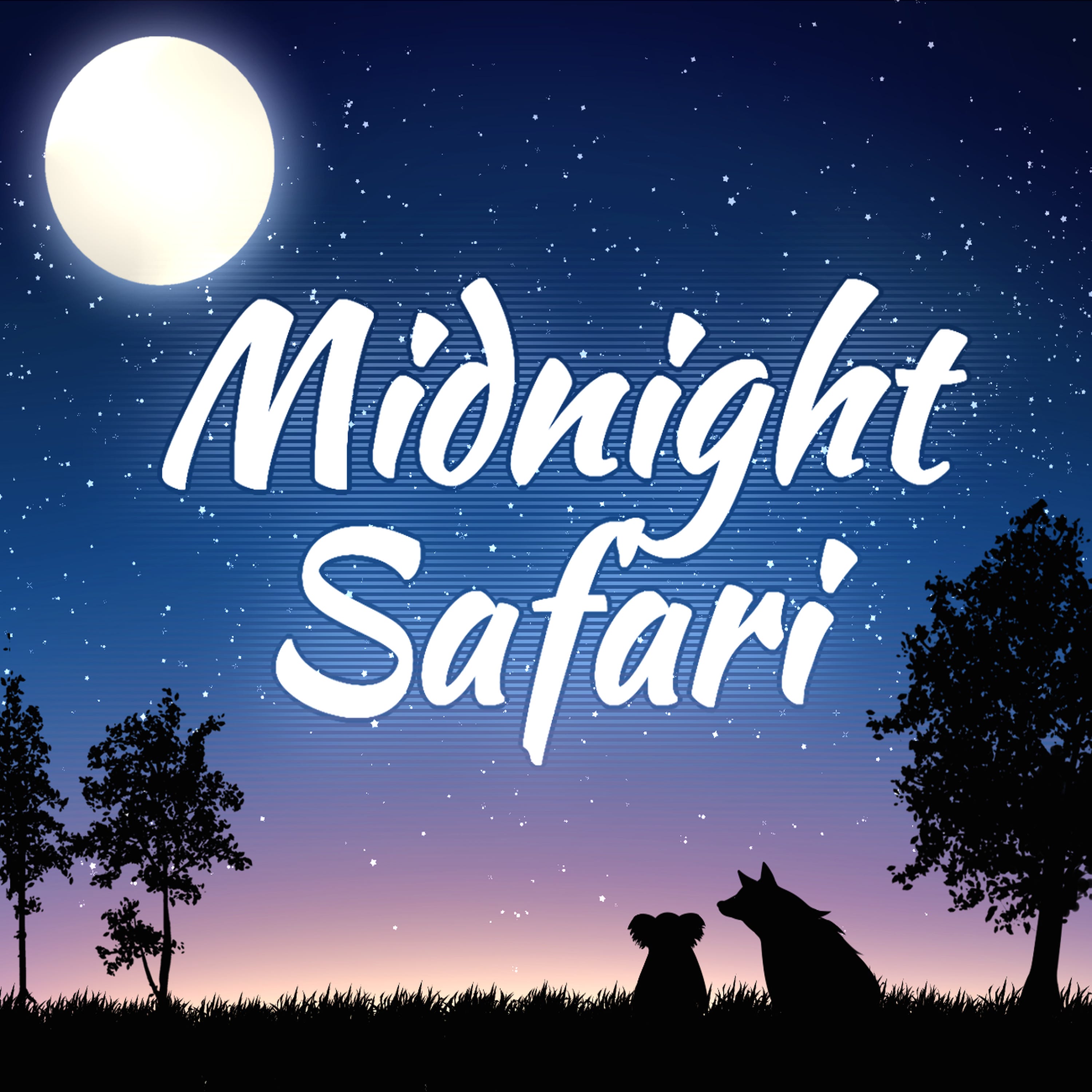 01-28-Midnight Safari
