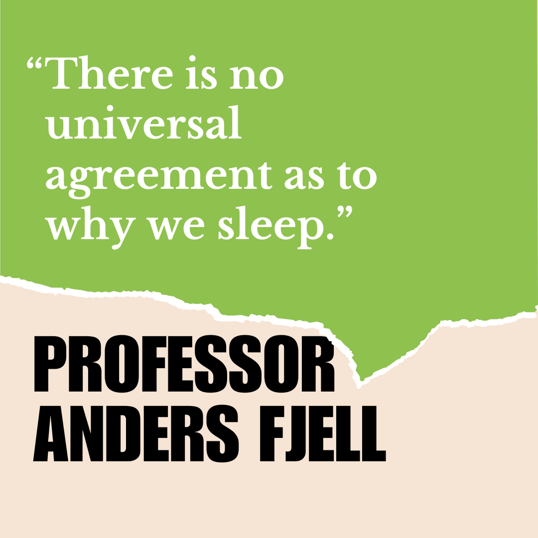 Is sleep important for the brain?