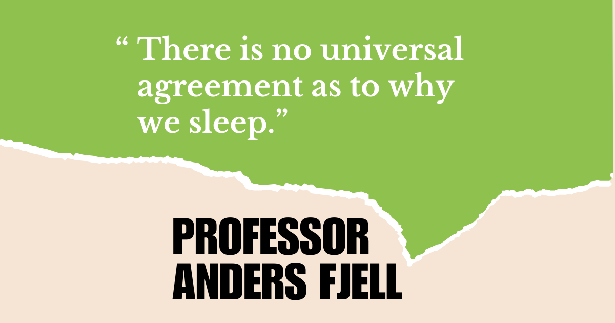 Is sleep important for the brain?