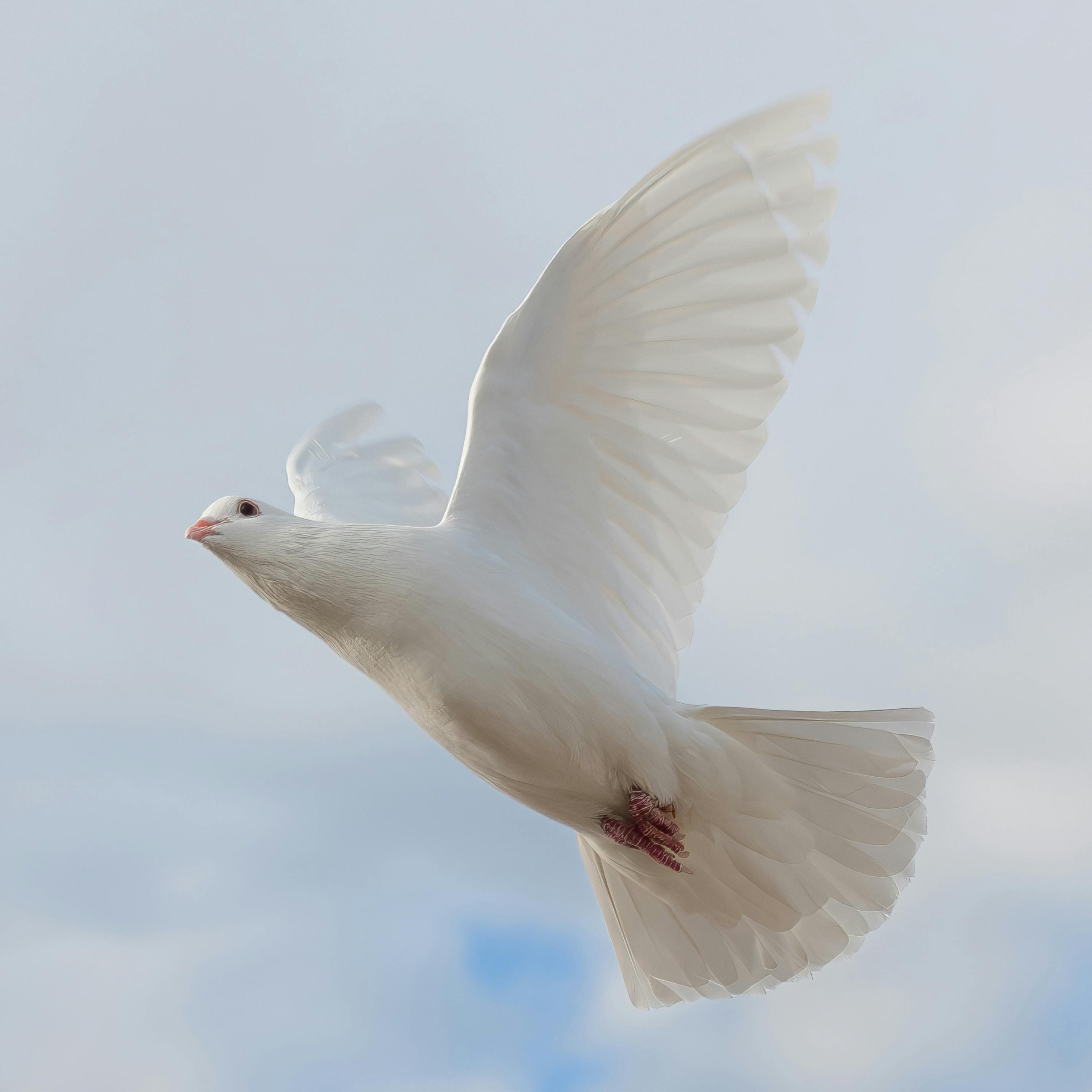 Words From Silence: A Contemplative Podcast