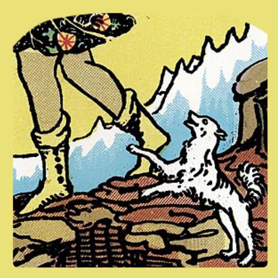 Invitation to a Decan Walk