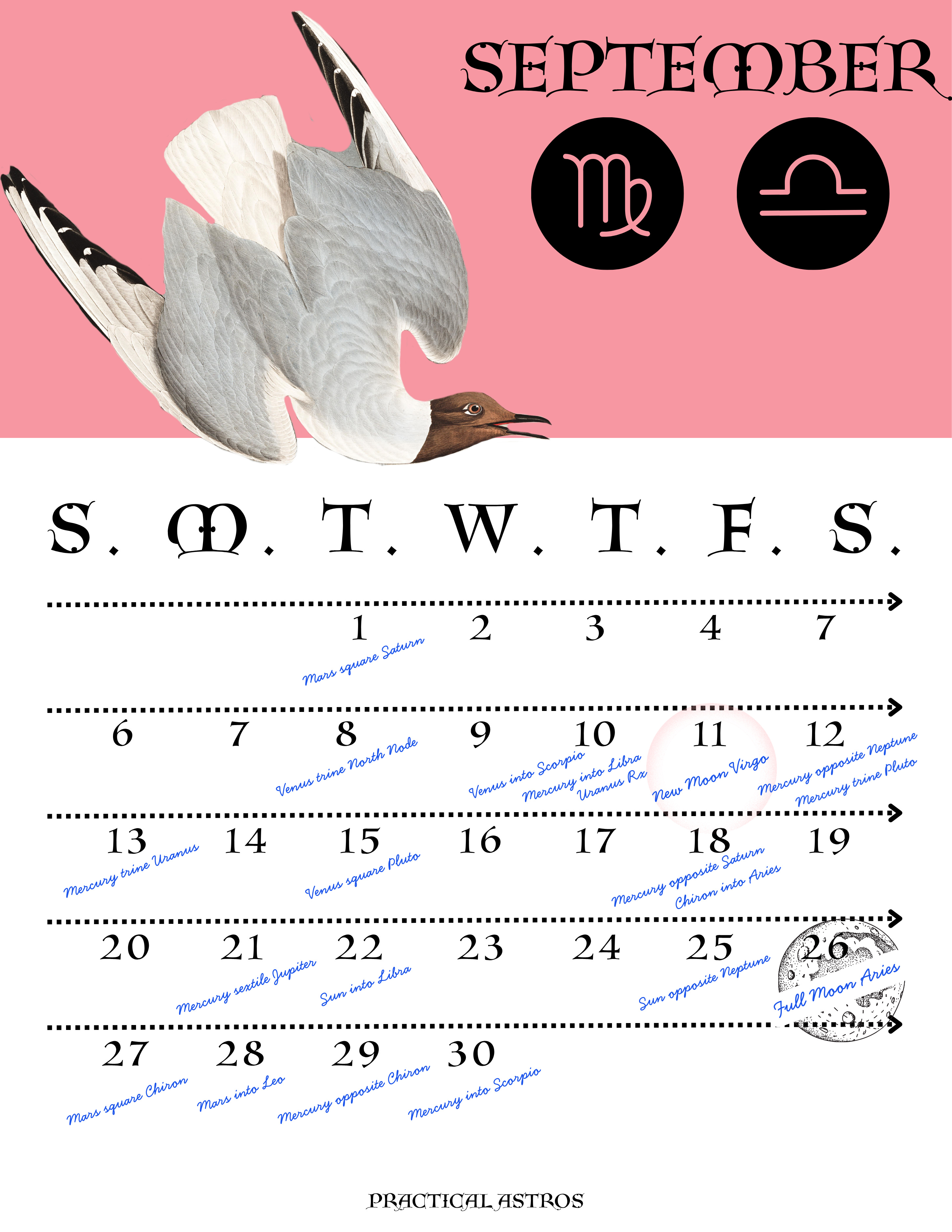 September Forecast episode artwork