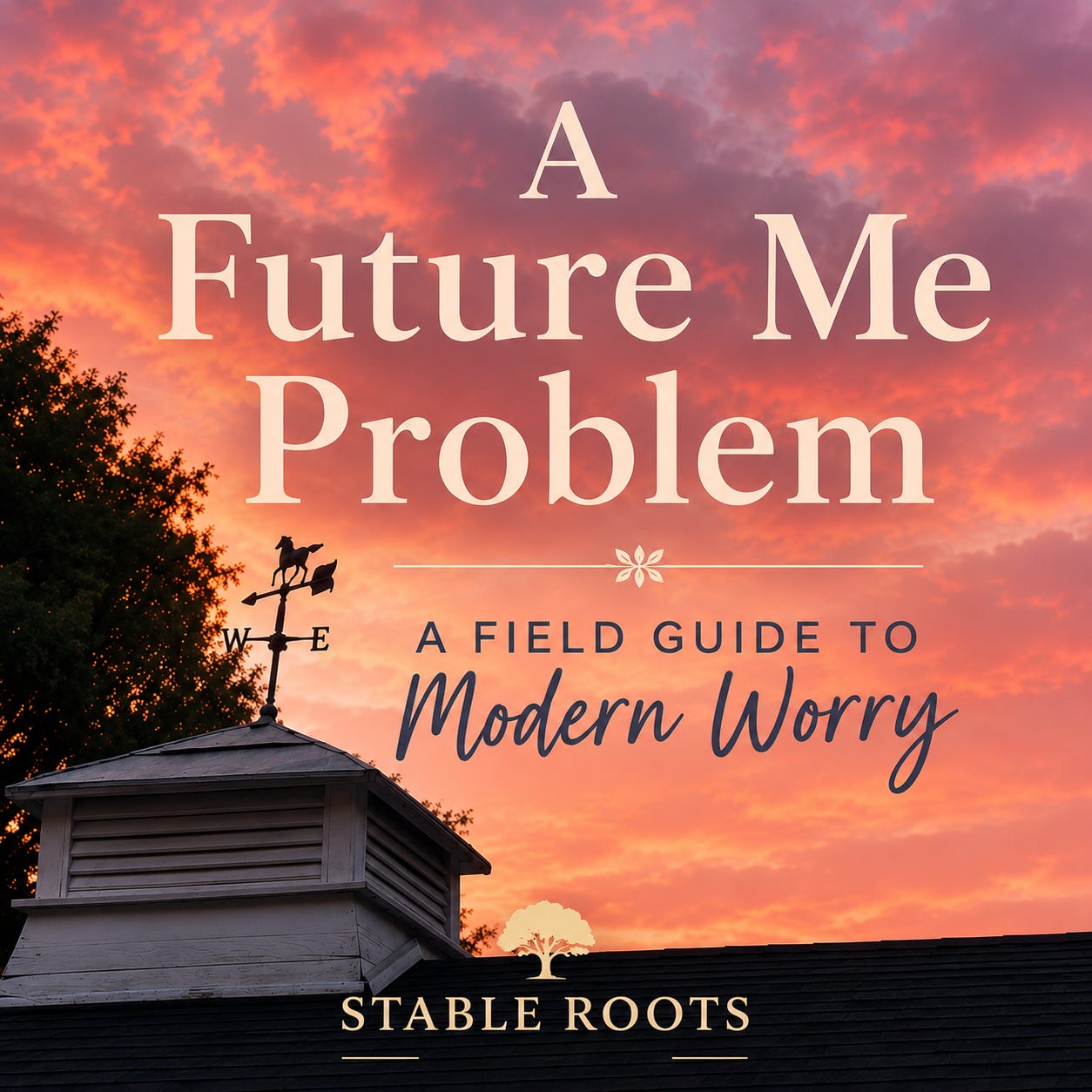 A Future Me Problem episode artwork