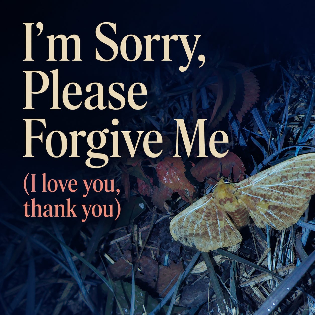 I'm Sorry, Please Forgive Me