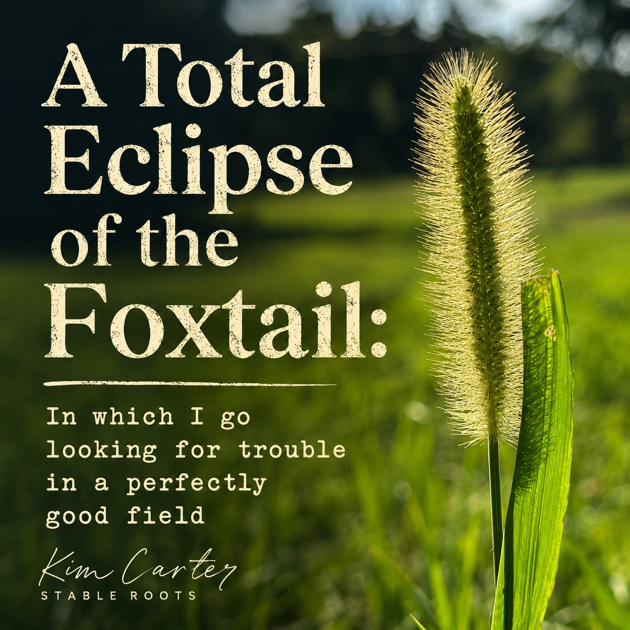 A Total Eclipse of the Foxtail
