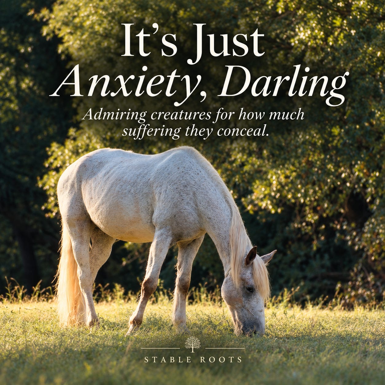 Artwork for Relatively Stable