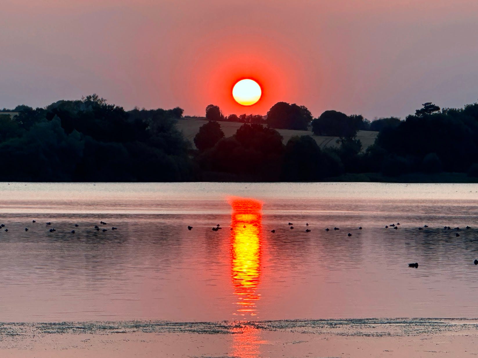 The Great Warrior's Greatest Battle: Finding Peace Within