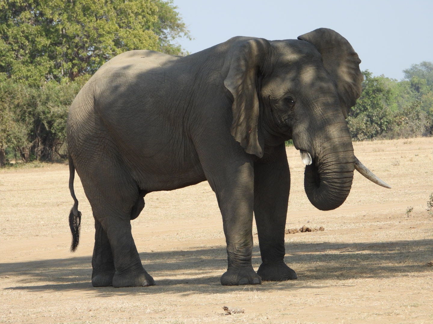 Two Realities, One World: Discover a New Way of Being Through an Ancient Tale.