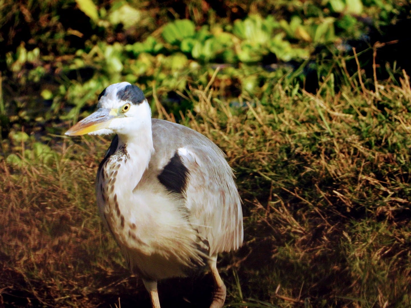 From Ego to Energy: The Simple Shift That Changes Everything