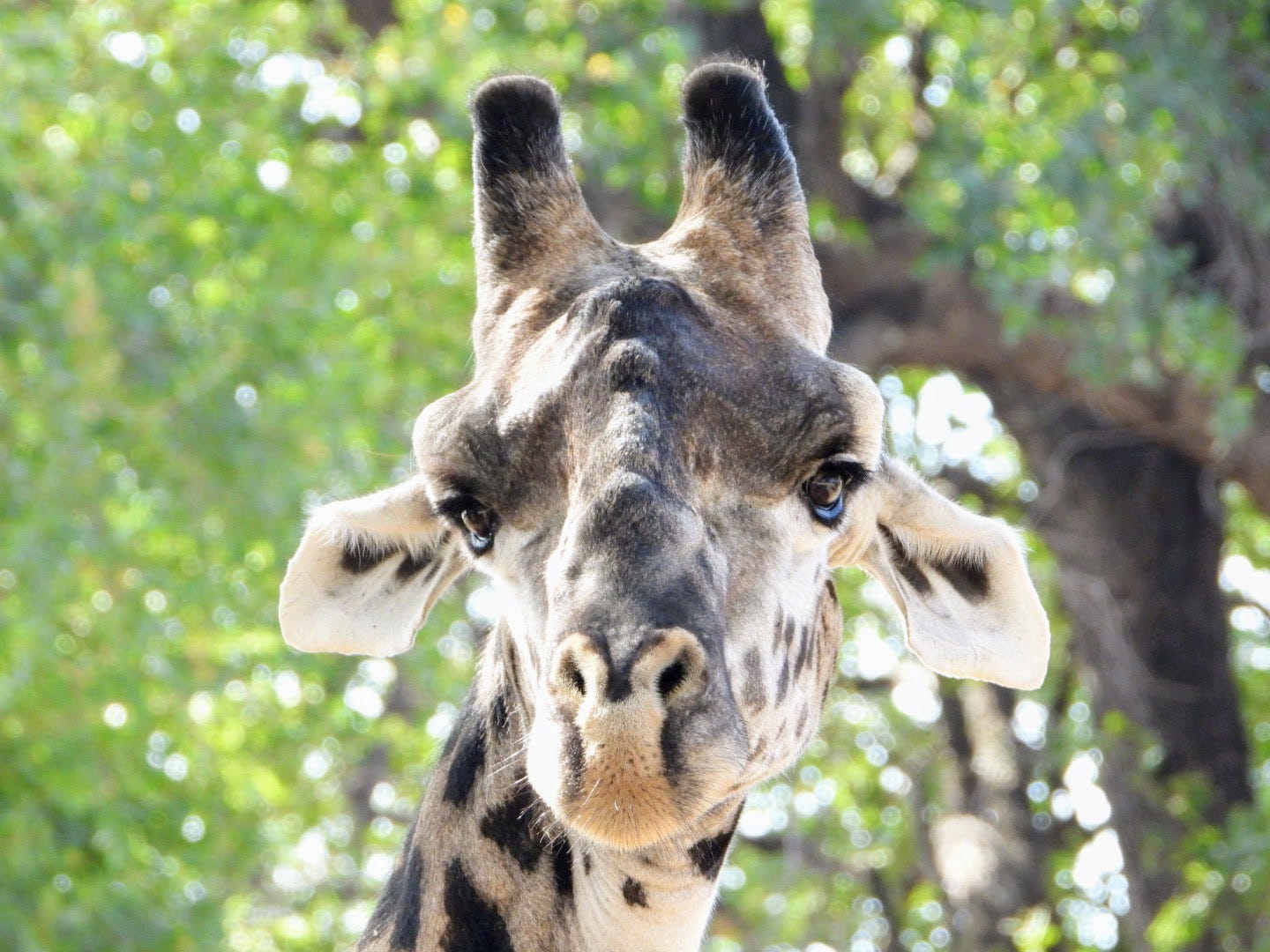 The Universe Is Always Listening — What Are You Asking For?