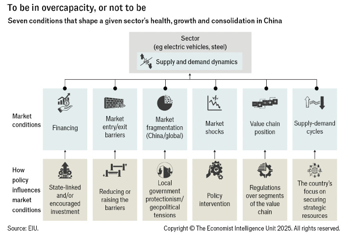 Differentiated Understanding