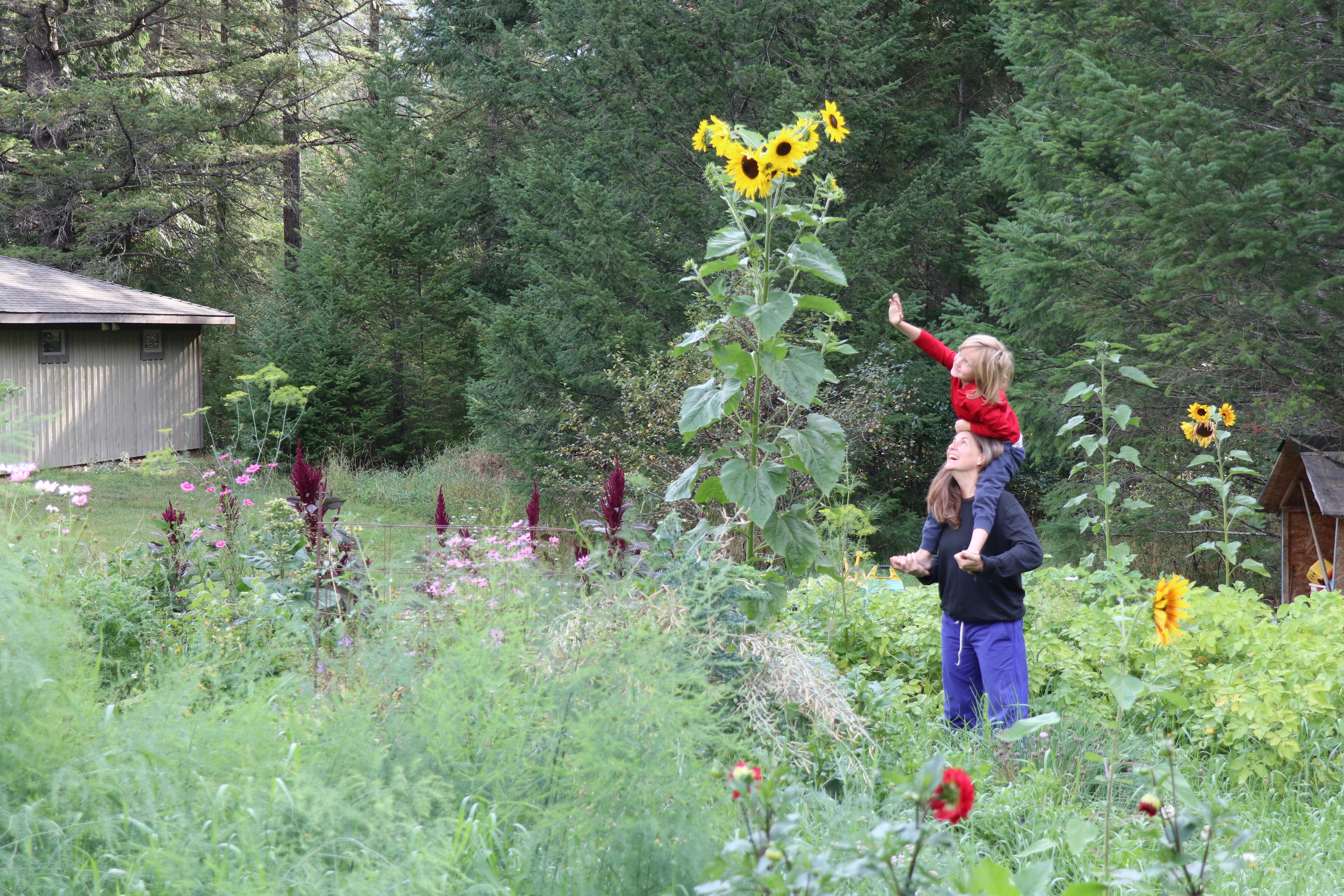 Wild and Precious Conversations