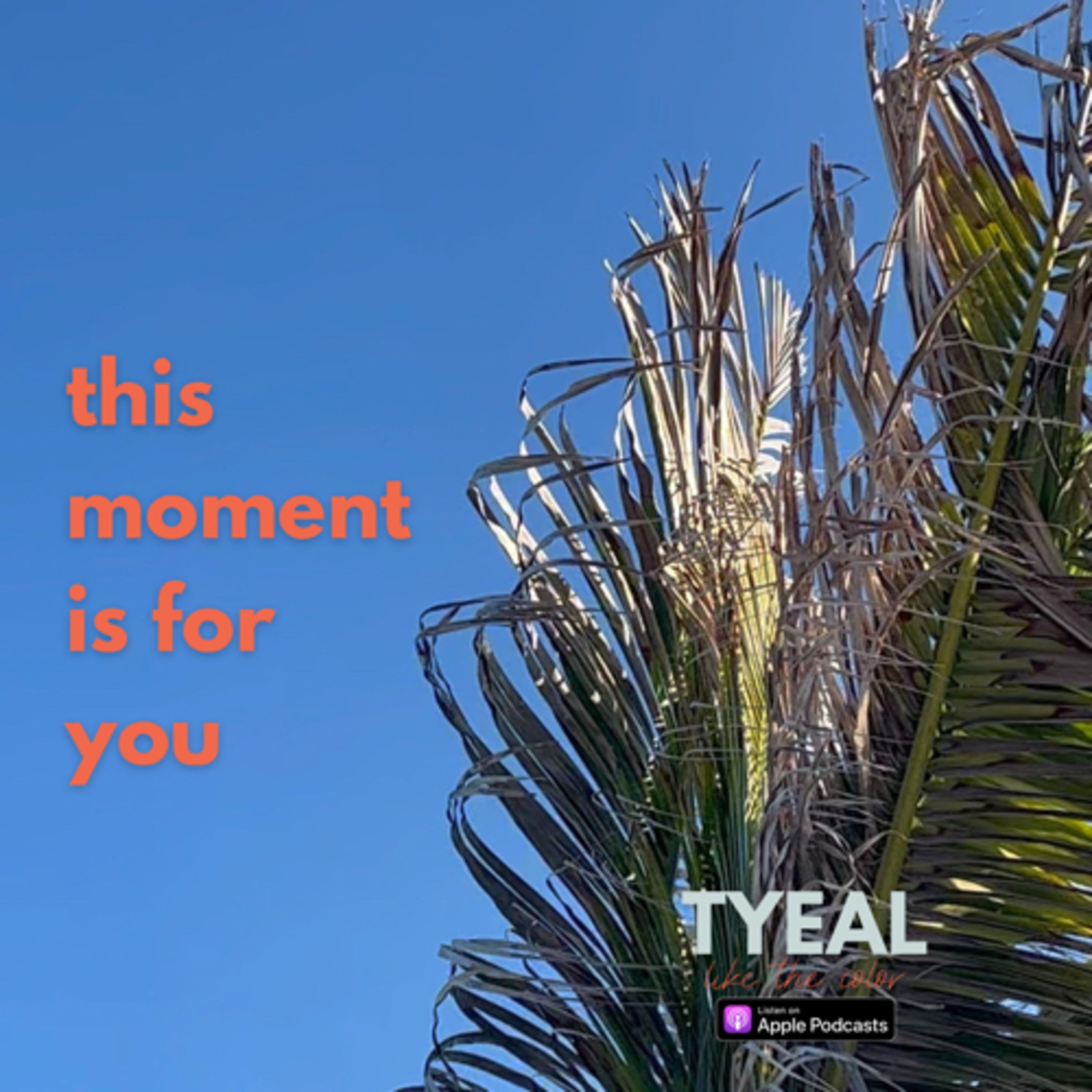 Meditating on This Moment