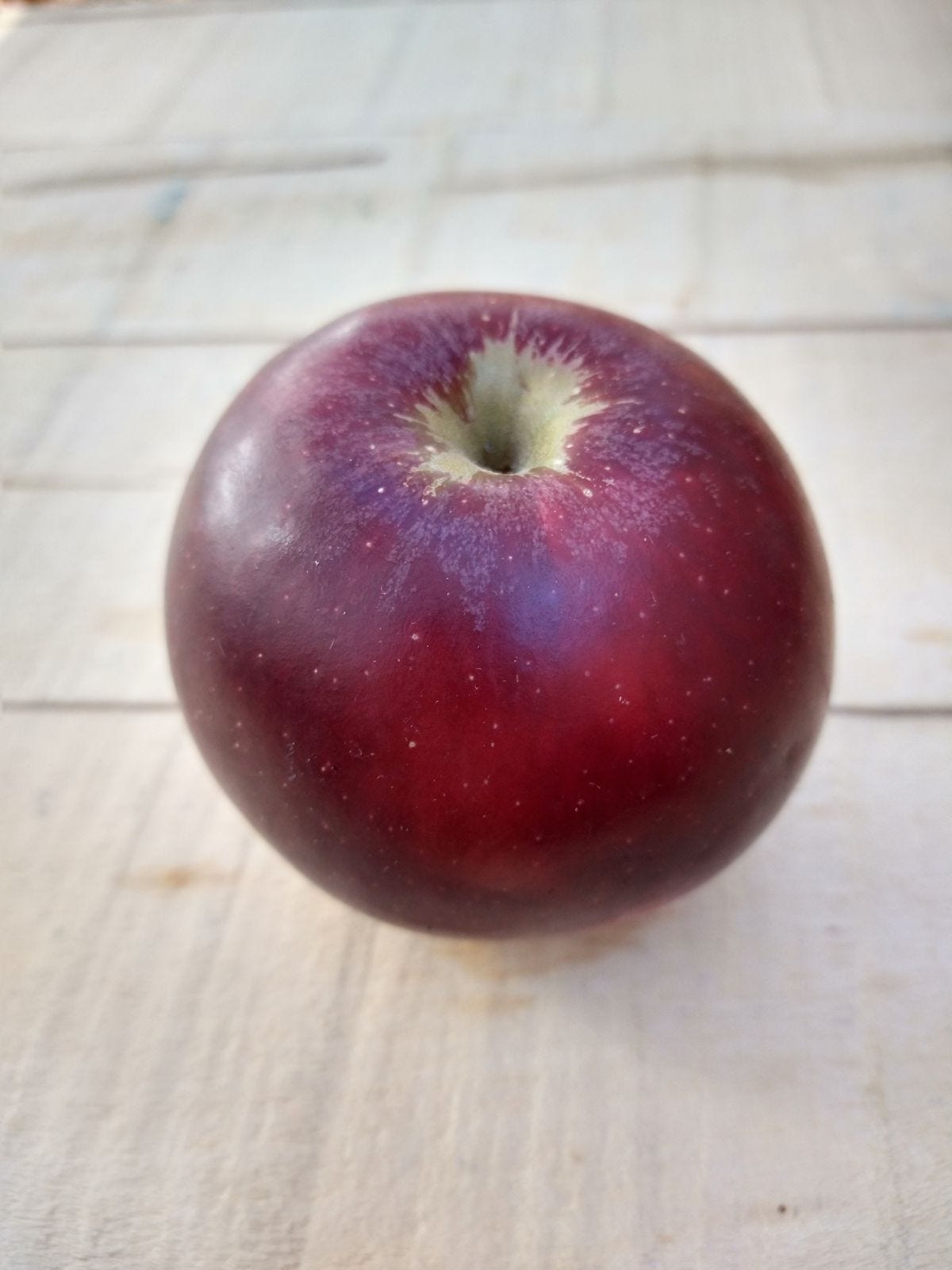 Episode 23 - History of Arkansas Black Apples episode artwork