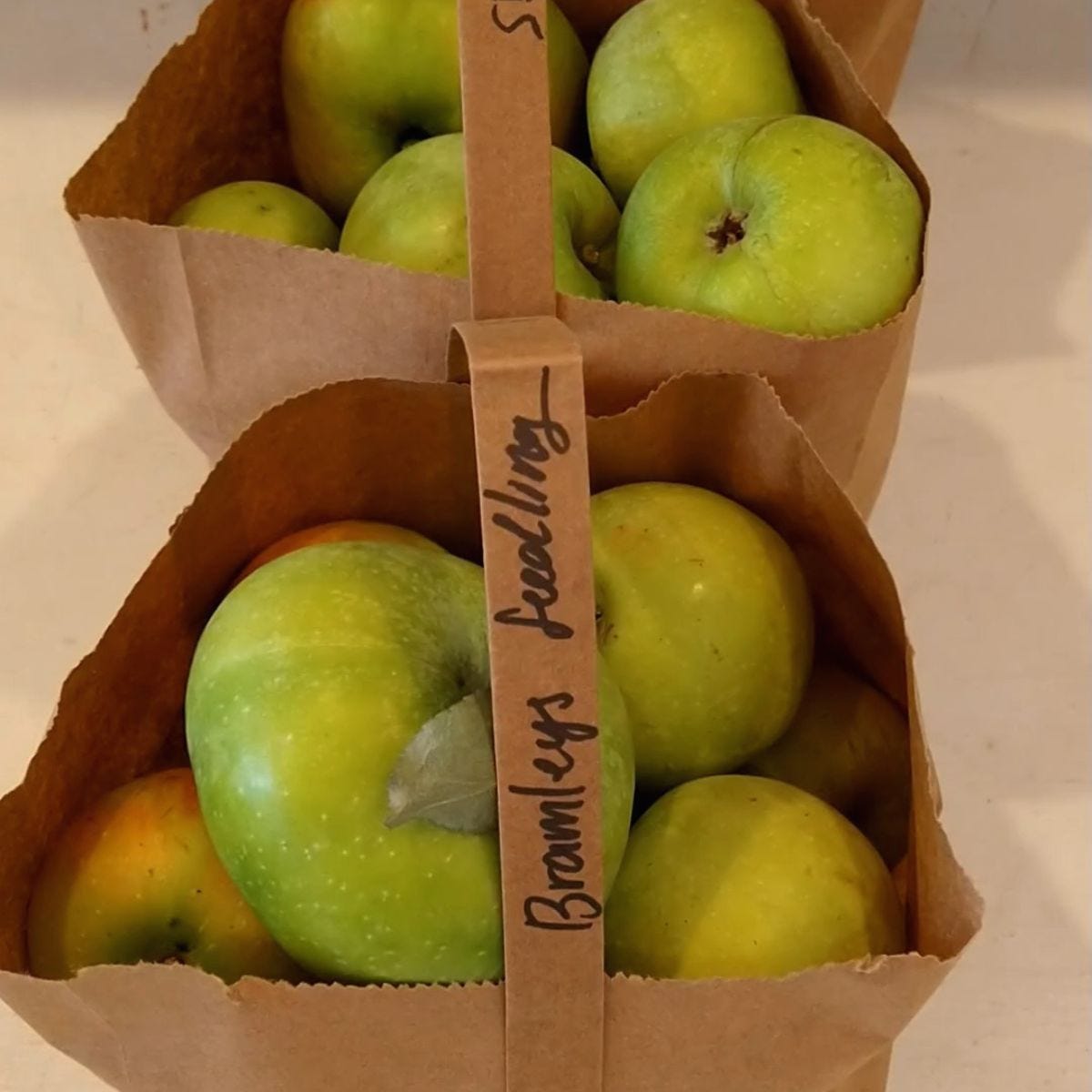 Episode 29 - A Brief History of Apples in Ireland episode artwork