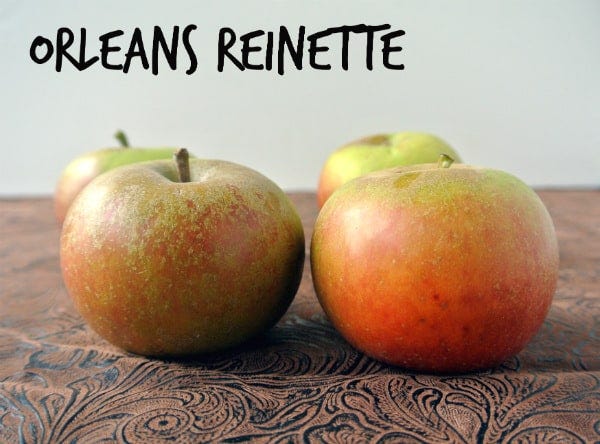 Episode 34 - What's an Orleans Reinette Apple? episode artwork