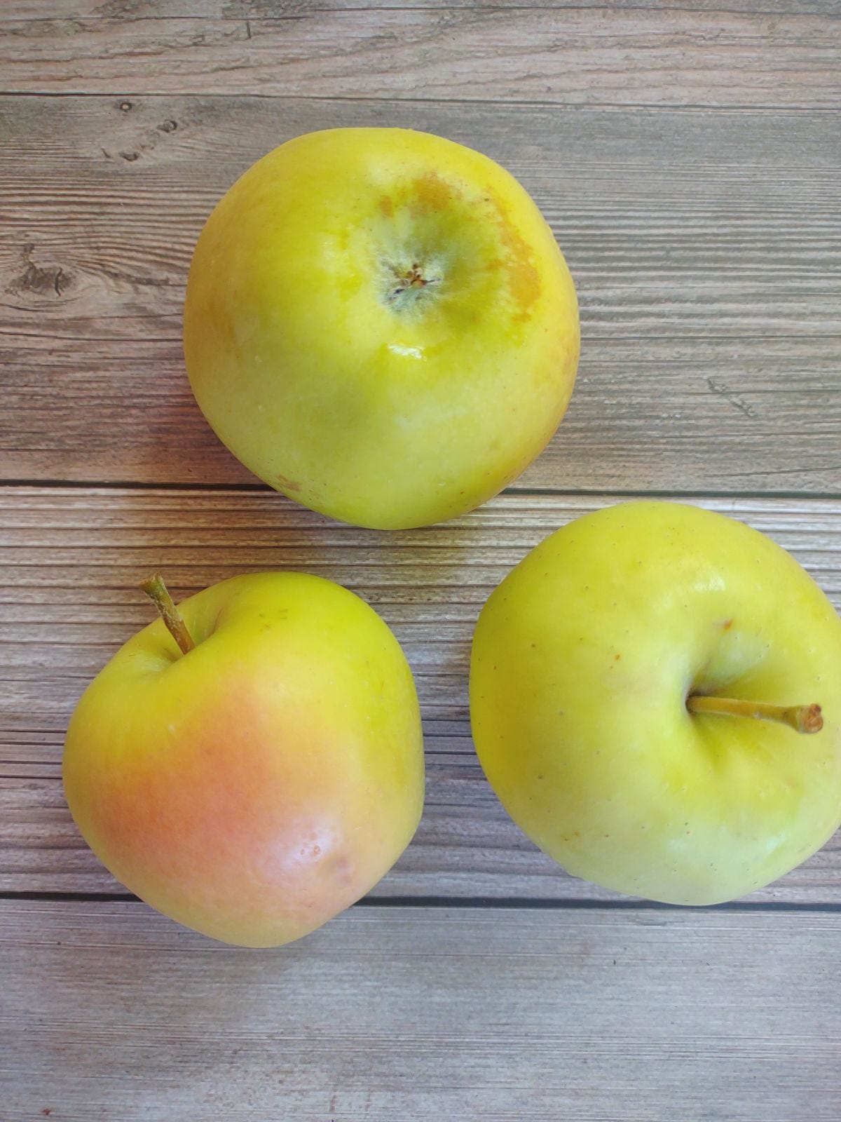 Episode 38 - What is a Hawaii Apple? episode artwork