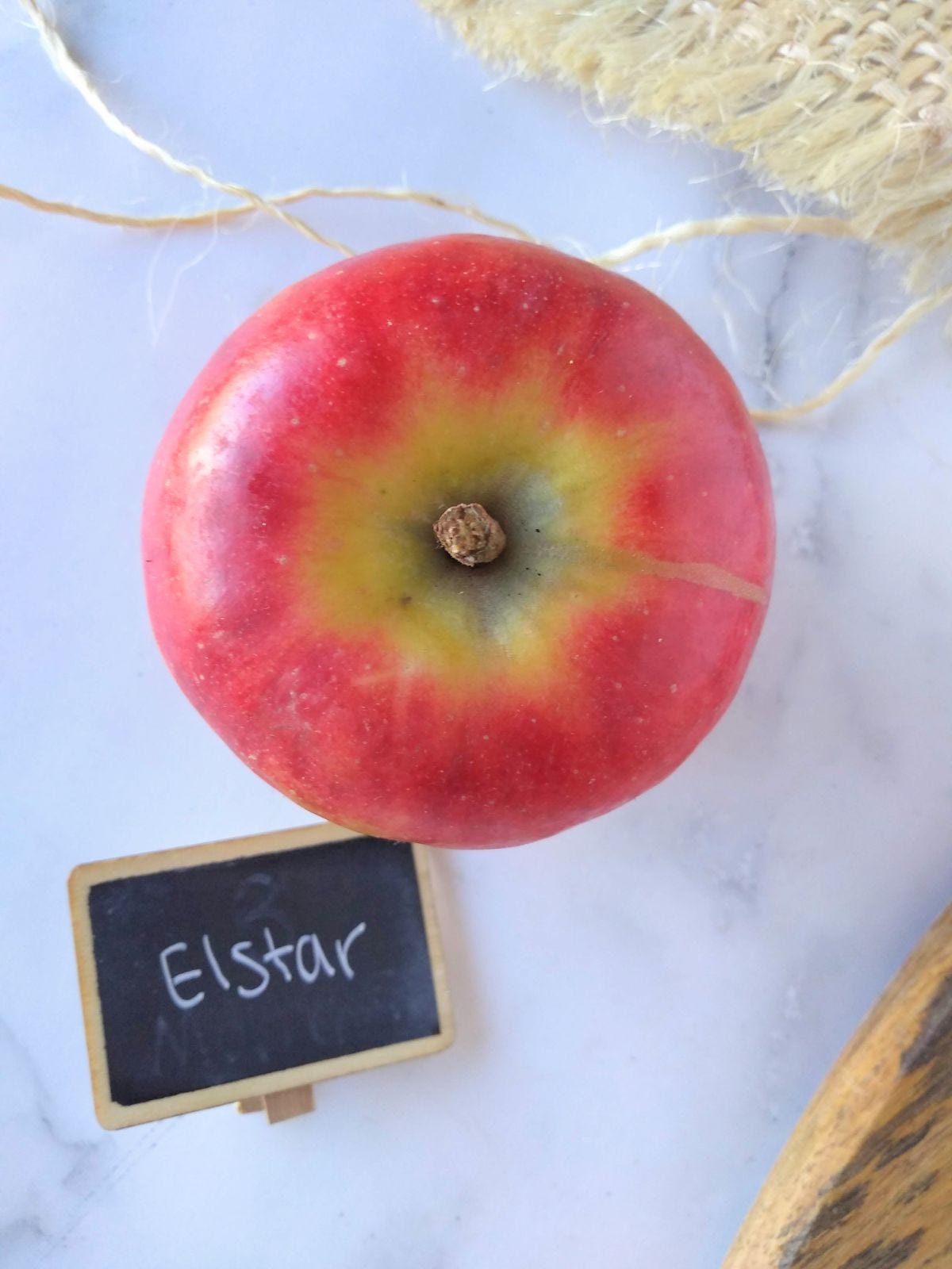 Episode 39 - What is a Elstar Apple? episode artwork