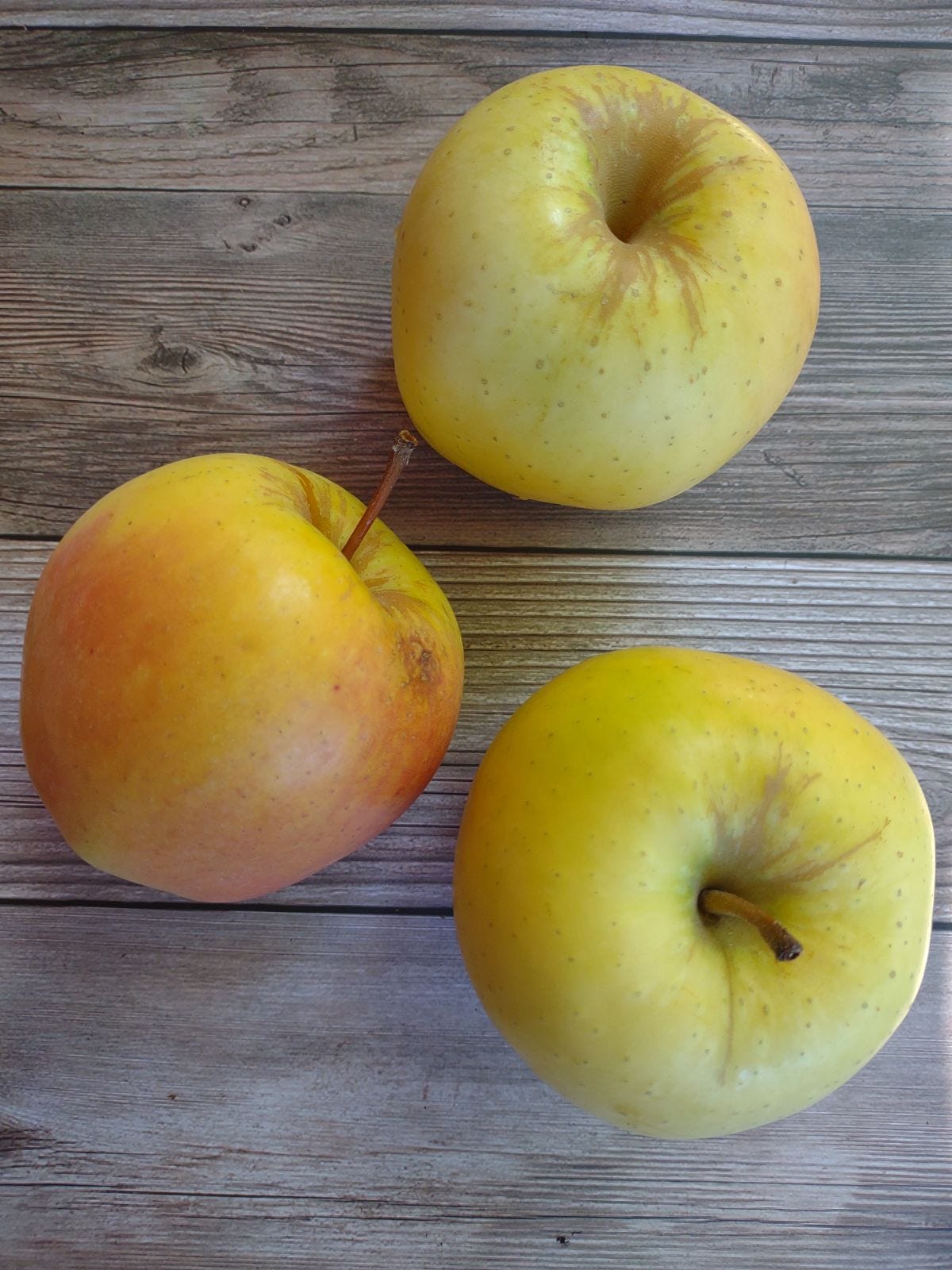 Episode 42 - What is a Golden Supreme Apple? episode artwork