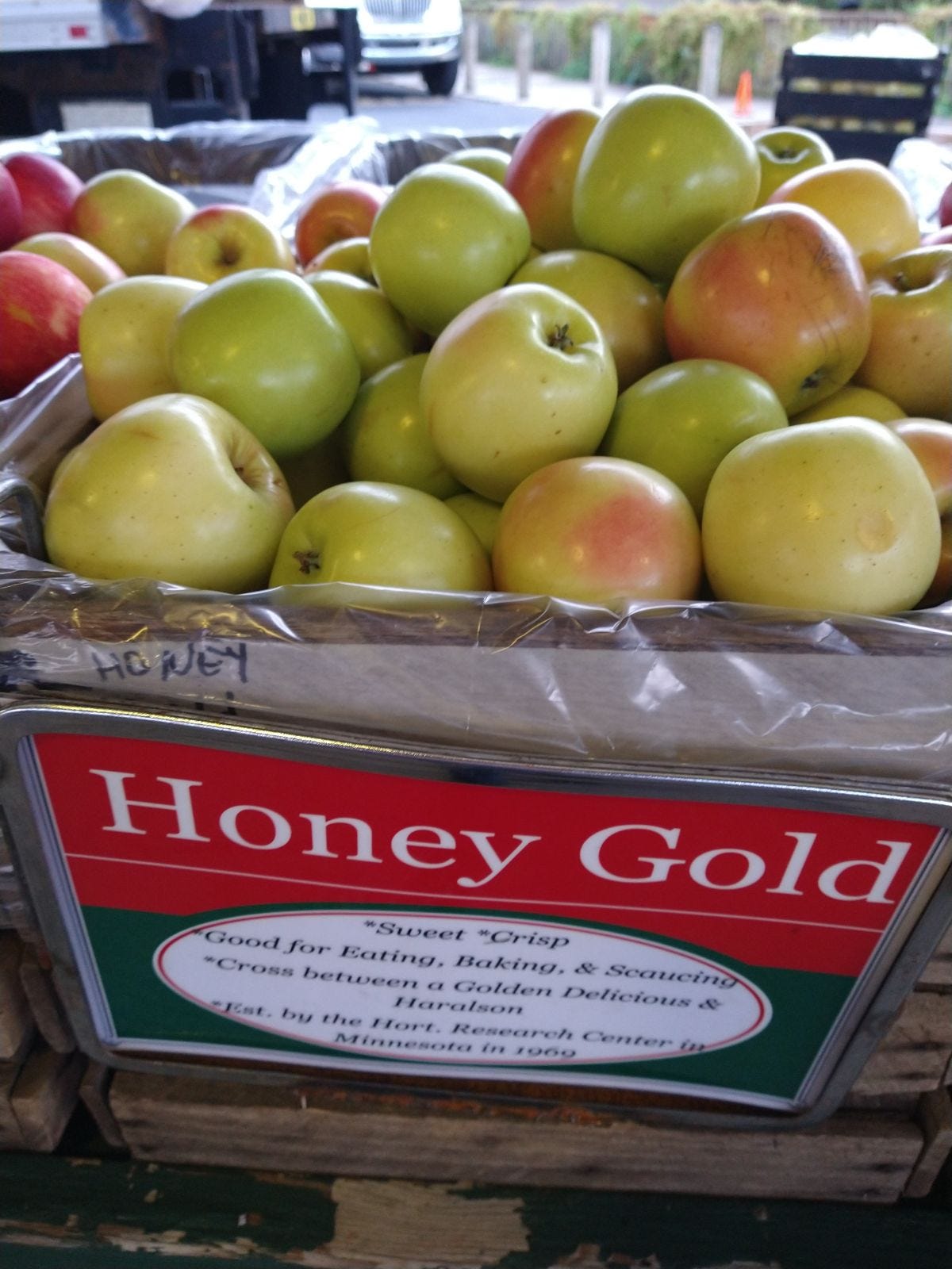 Episode 43 - What is a Honeygold Apple? episode artwork