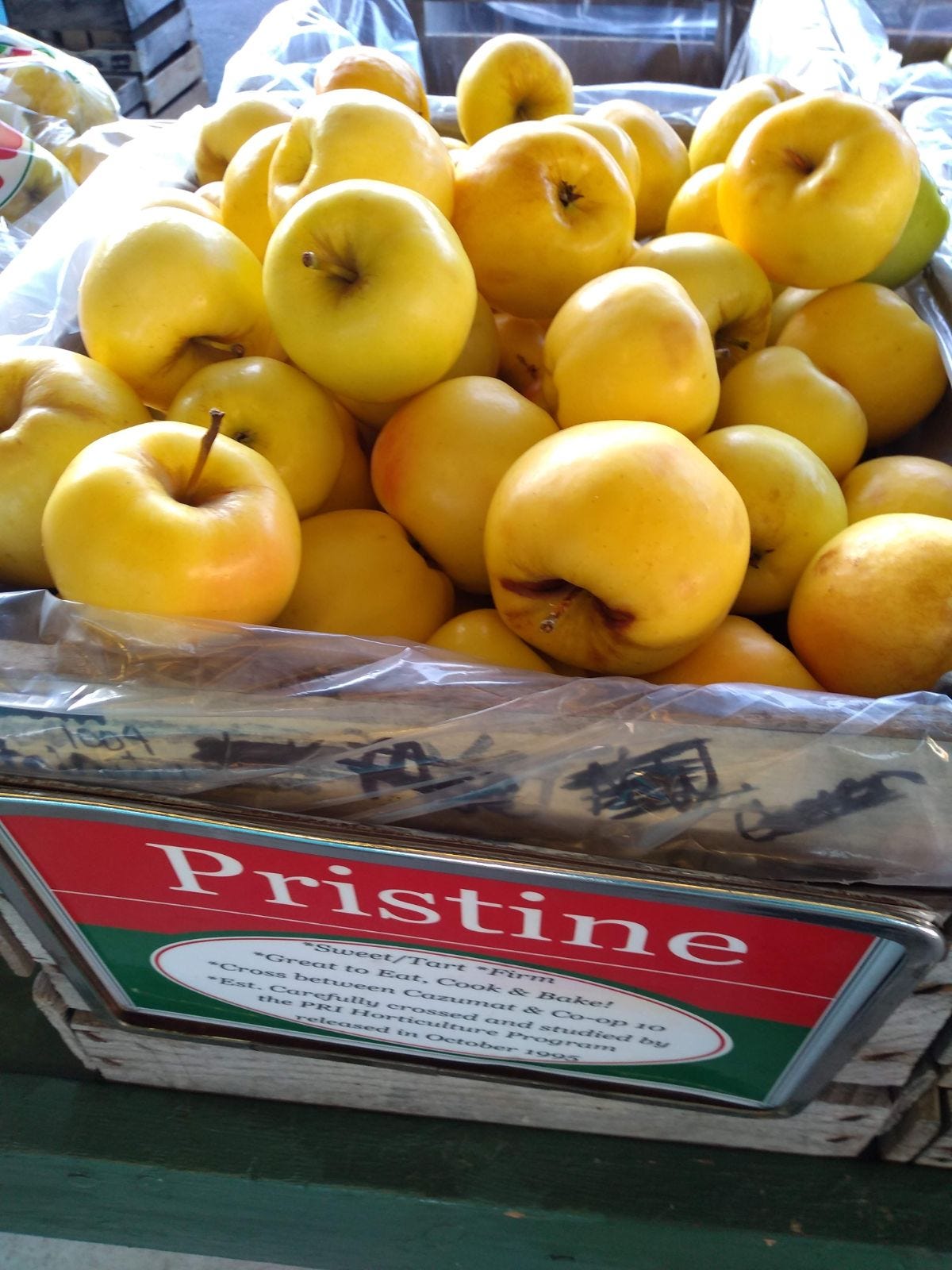 Episode 44 - What is a Pristine Apple? episode artwork