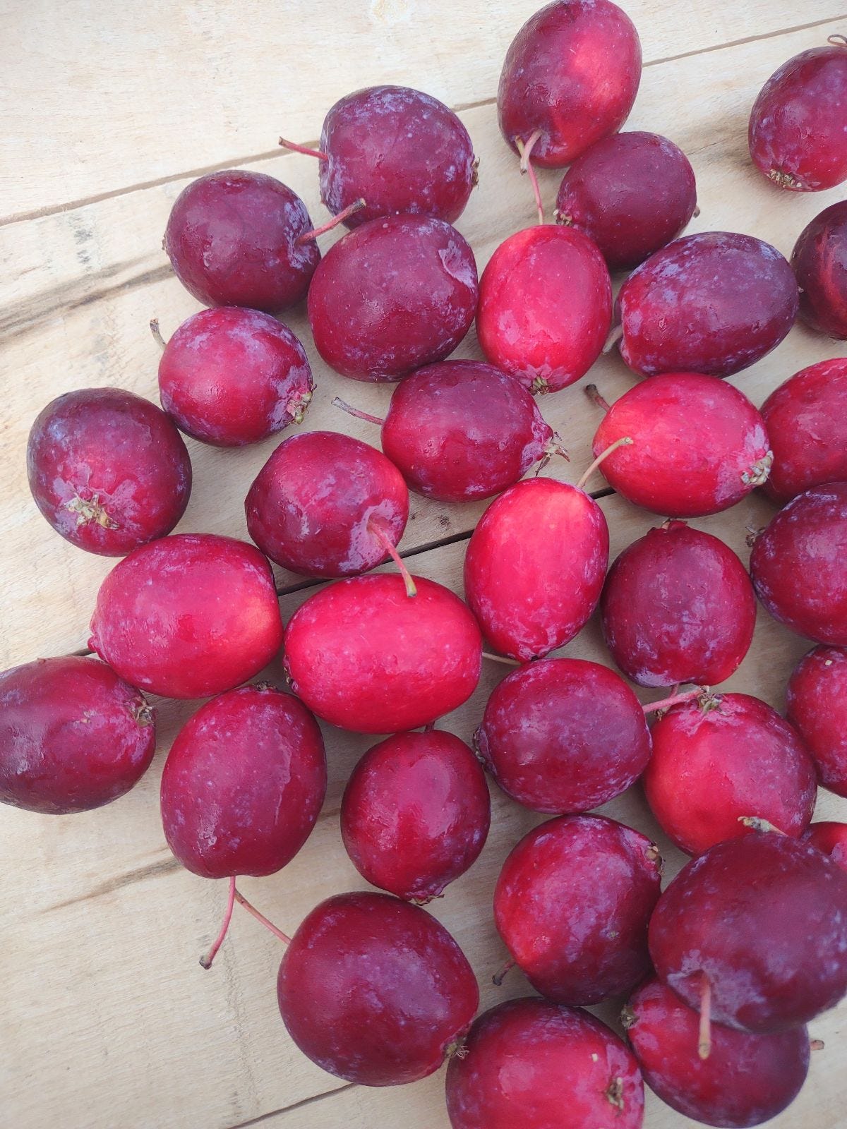 Episode 48 - What is a Dolgo Crabapple? episode artwork