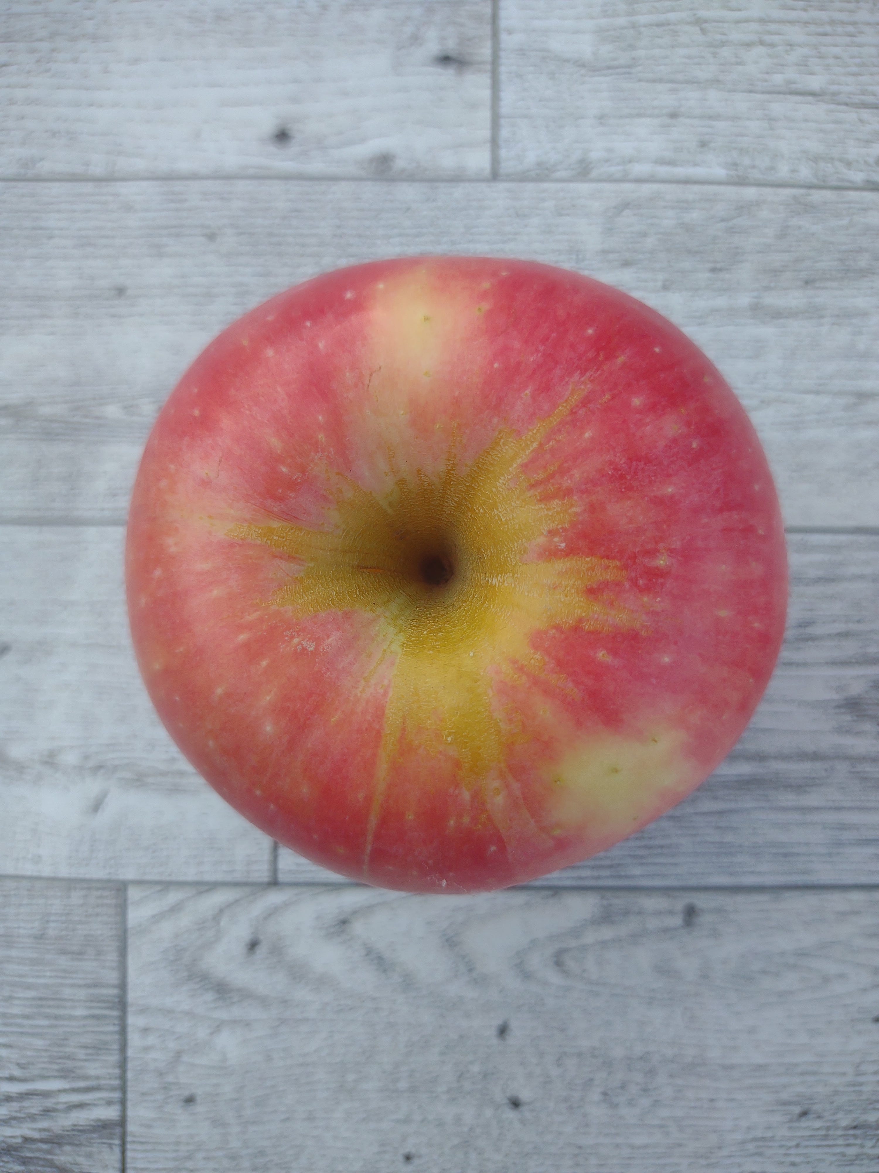 Episode 49 - What is a Pink Luster Apple? episode artwork