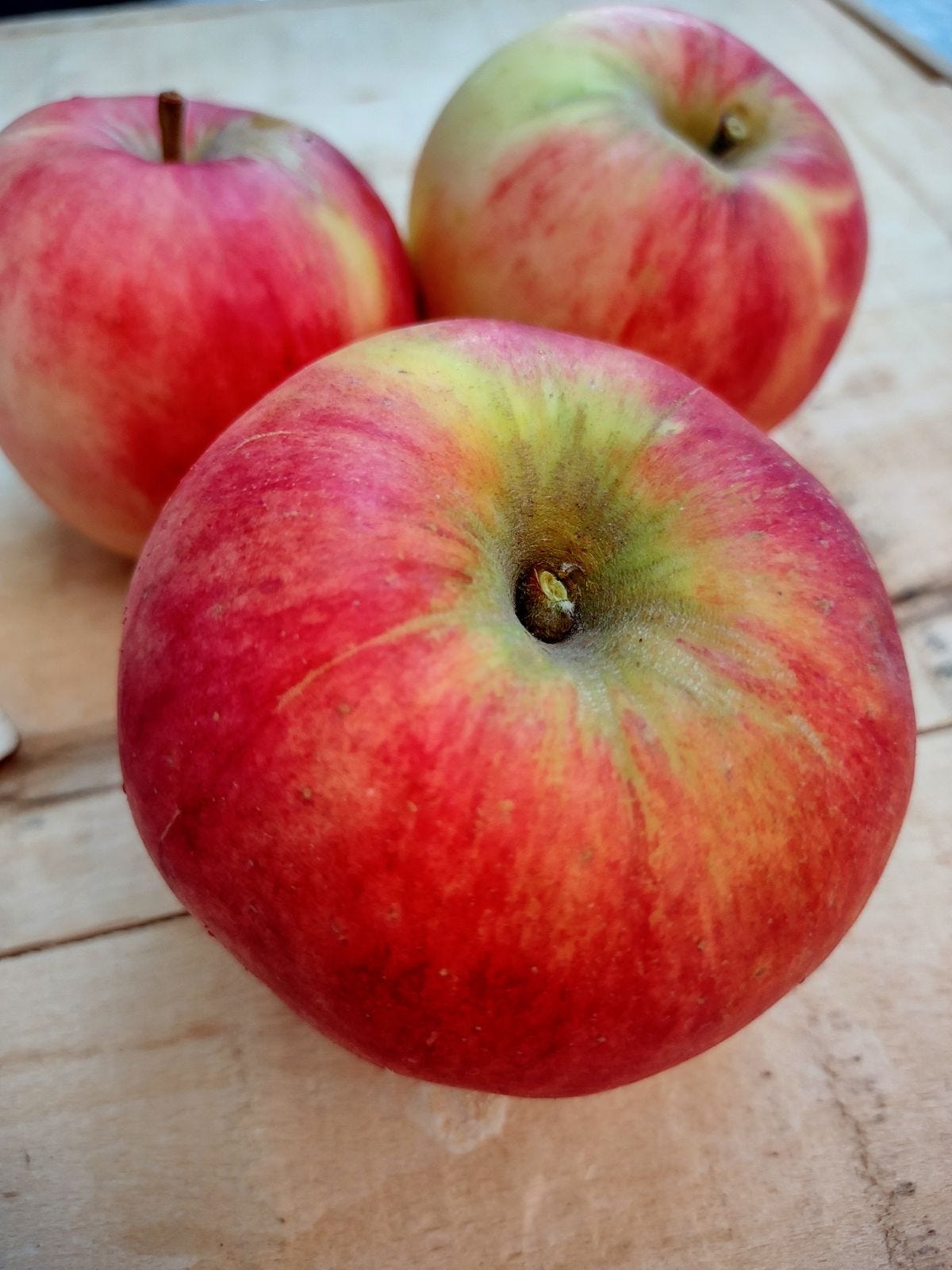 Episode 50 - What is a Sansa Apple?