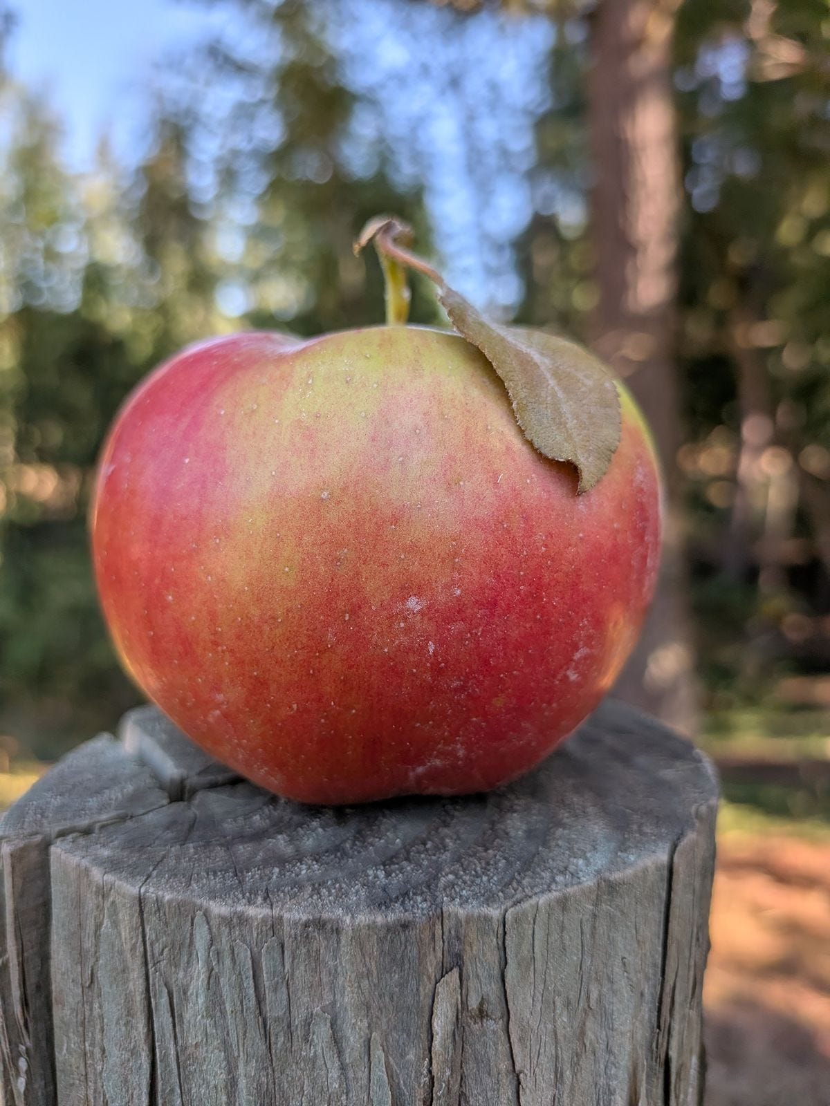 Episode 85 - What’s a Crimson Crisp Apple?