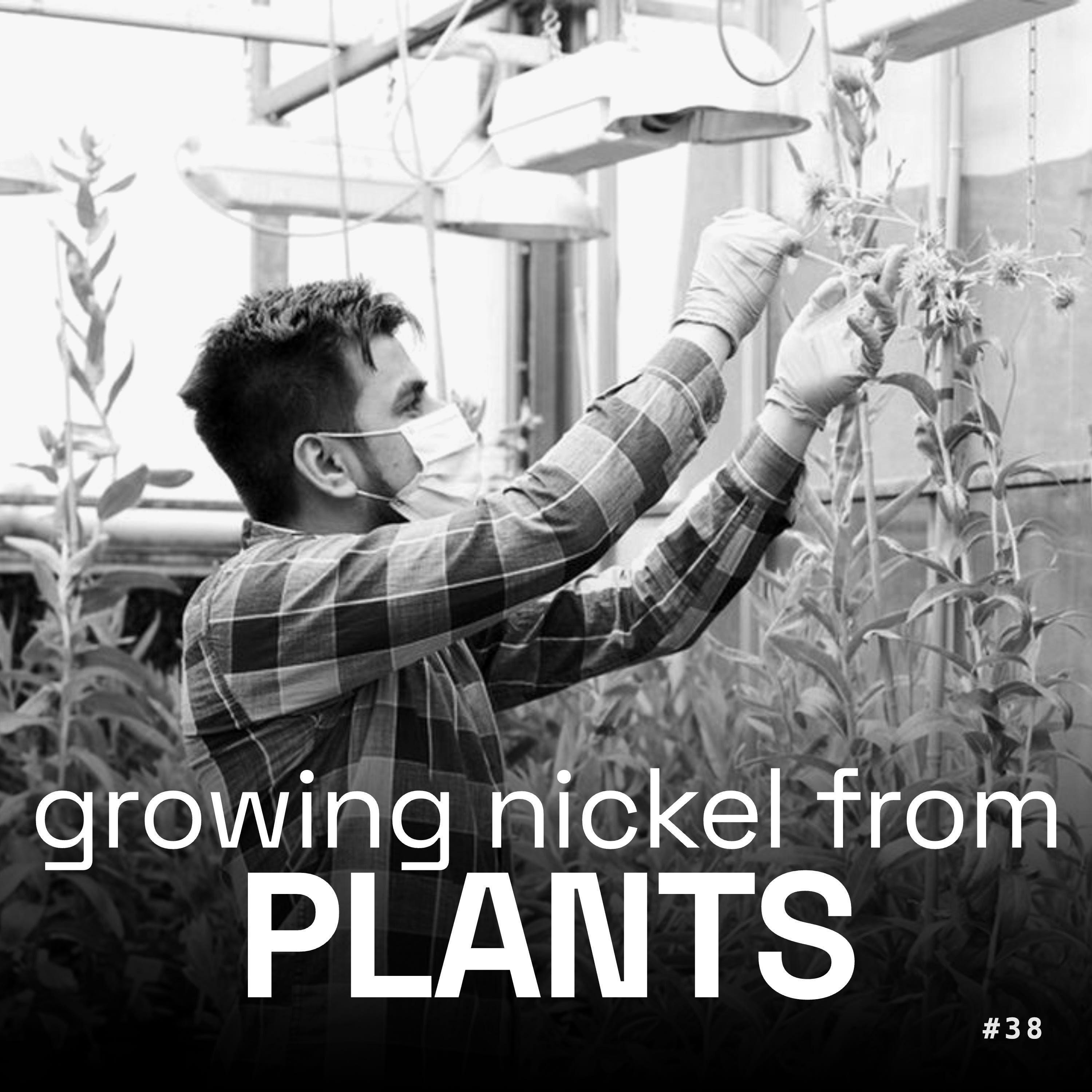 #38 - Jonny, Julia & Julien - Marble, Sightline & Honda - Growing Nickel from Plants and Other Bold Bets