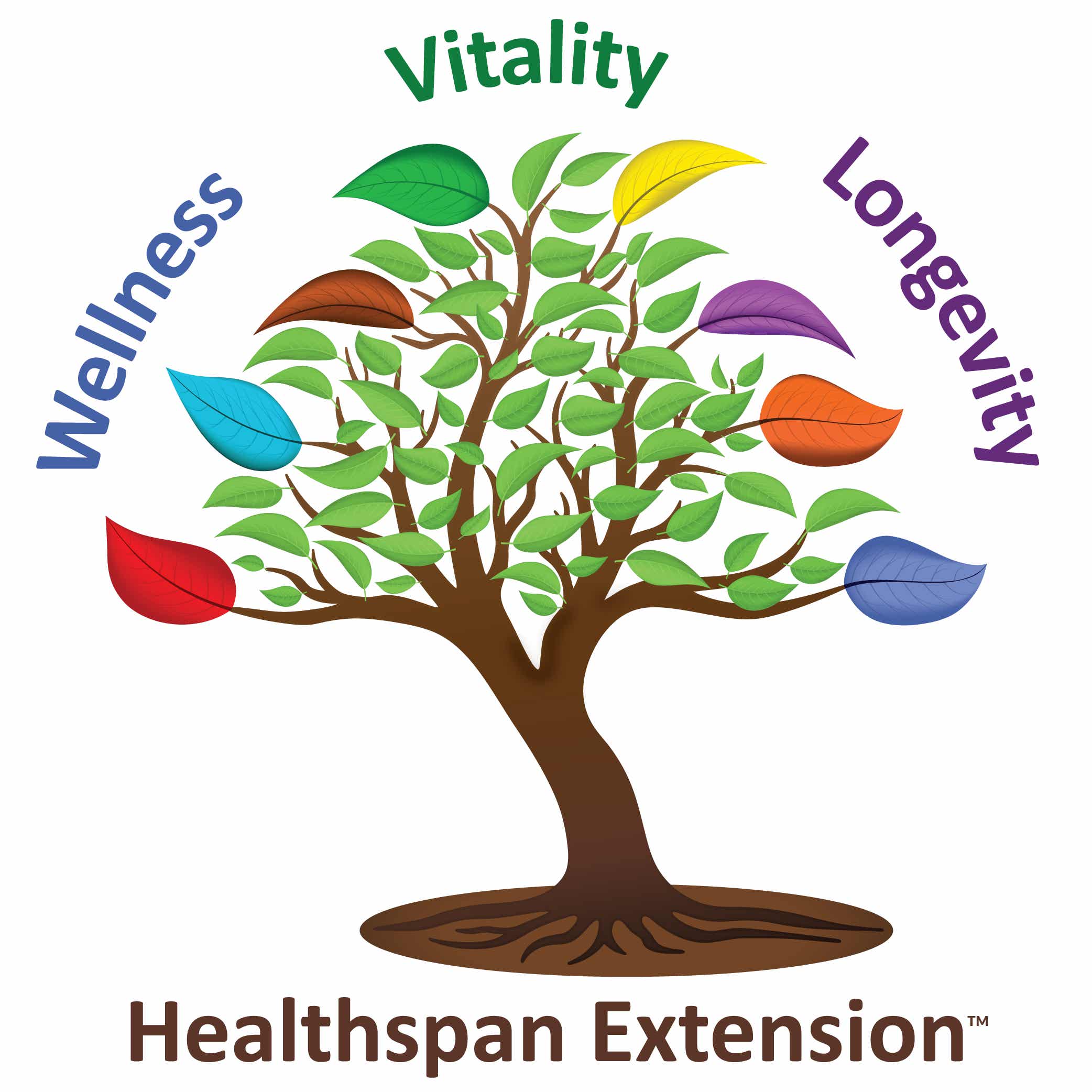Healthspan Extension Podcast