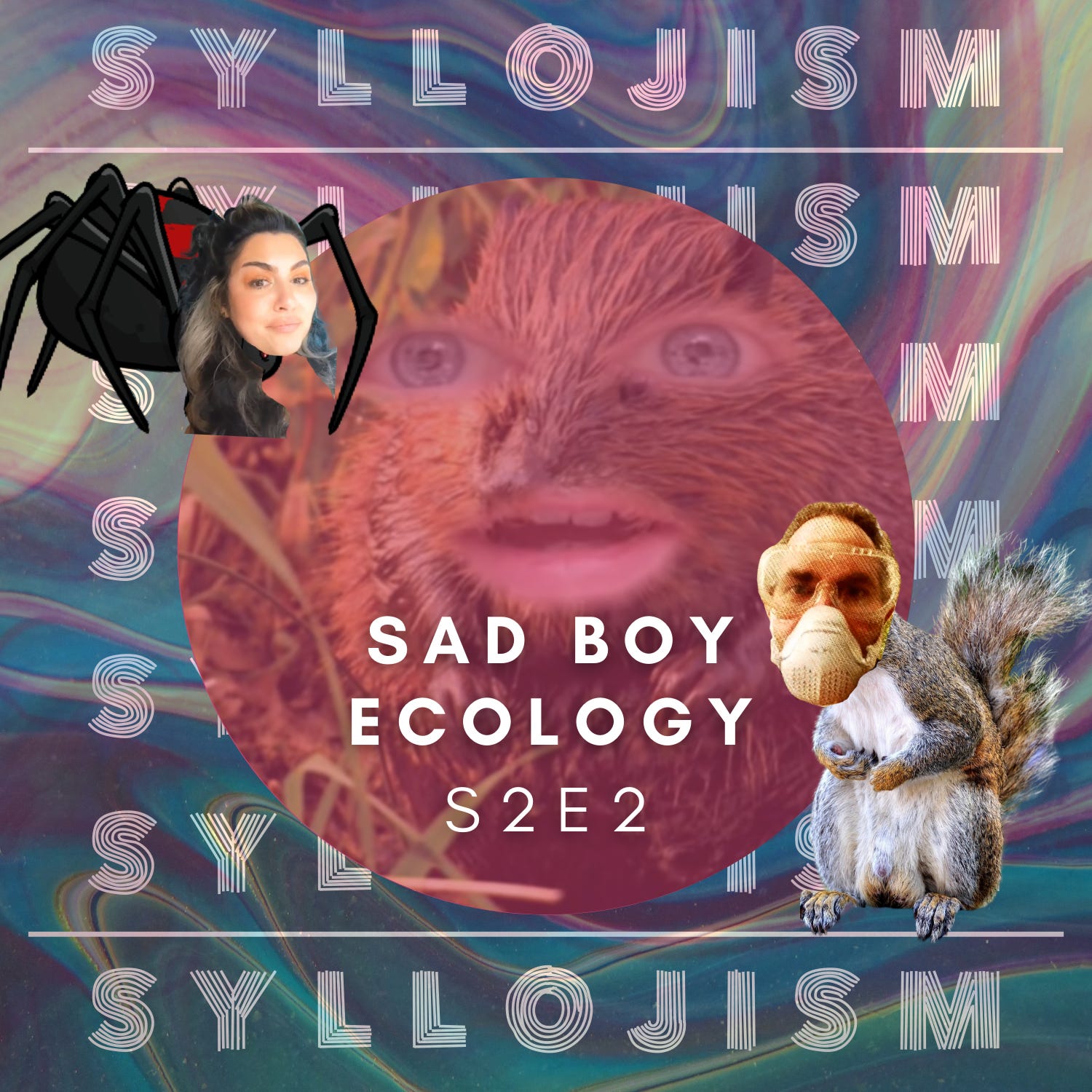 Syllojism