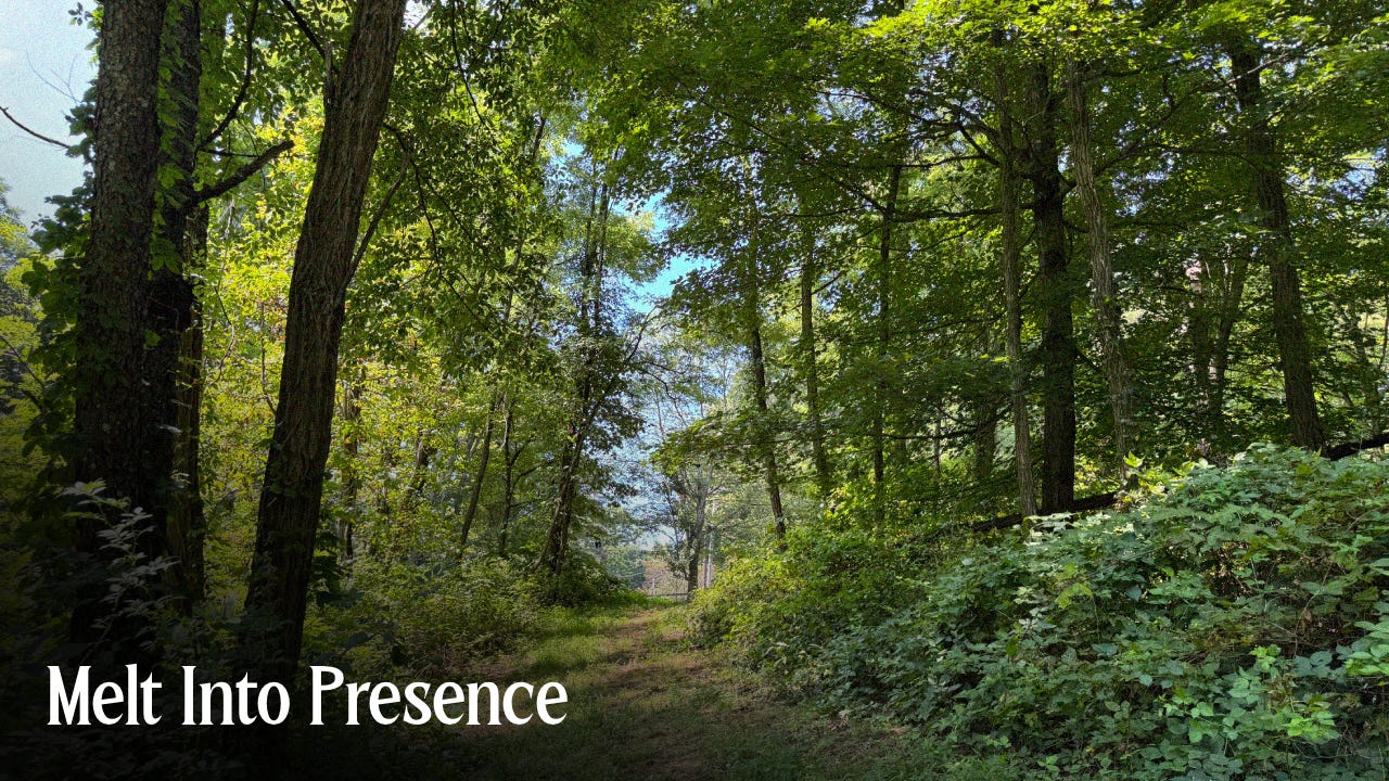 Melt Into Presence | Practically on Purpose