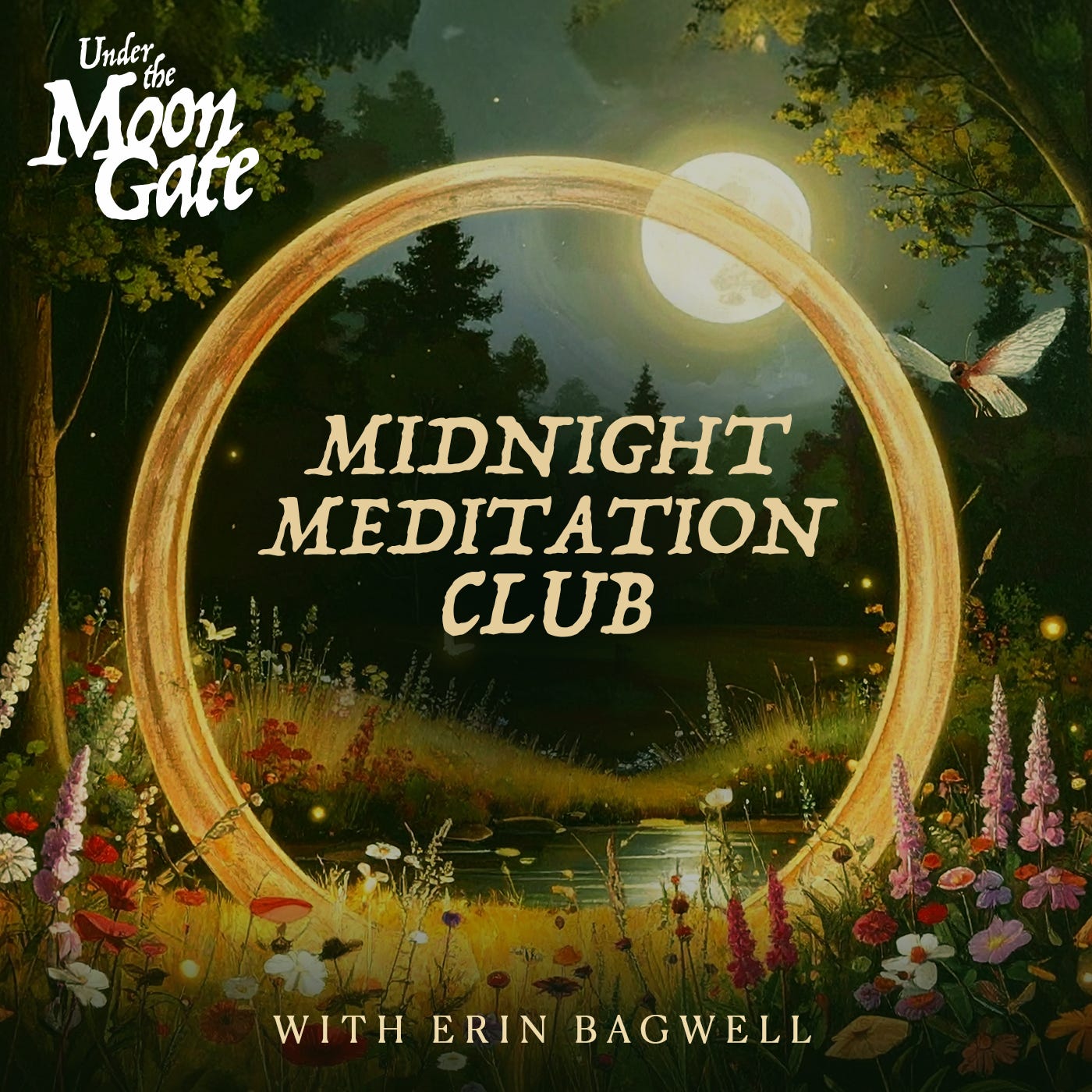 Meditation for World Peace episode artwork