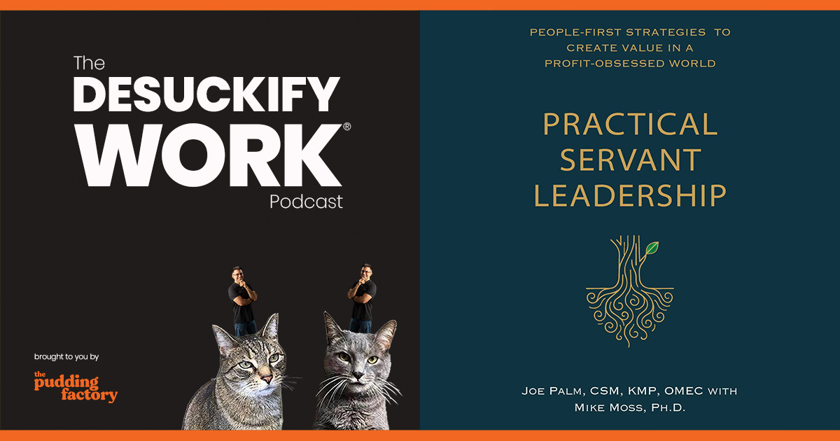 Ep 125 | From corporate insanity to practical servant leadership with Joe Palm and Mike Moss