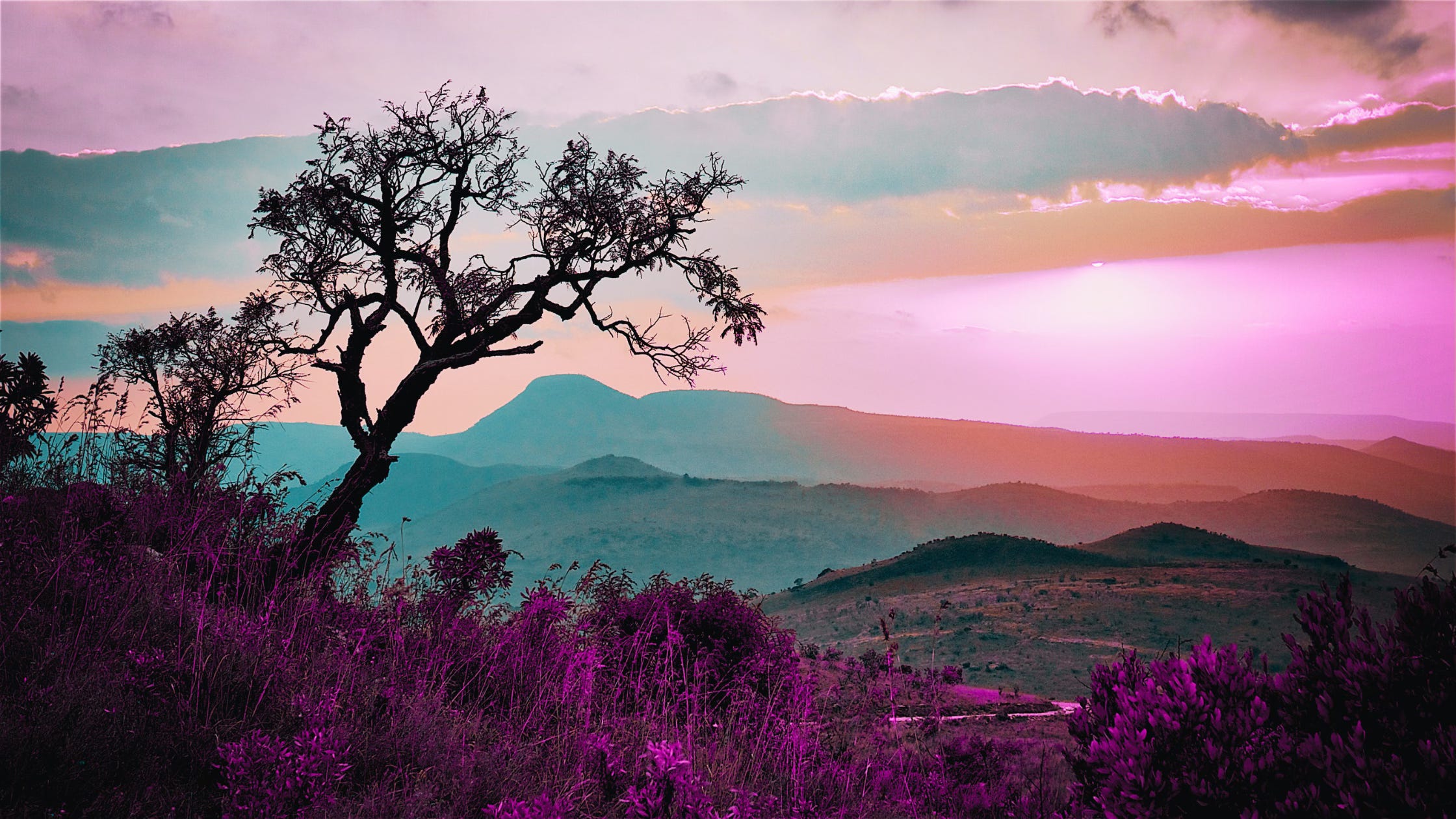 97. Solo Travel, Plant Medicine, and Finding Food Freedom | Haley Smith