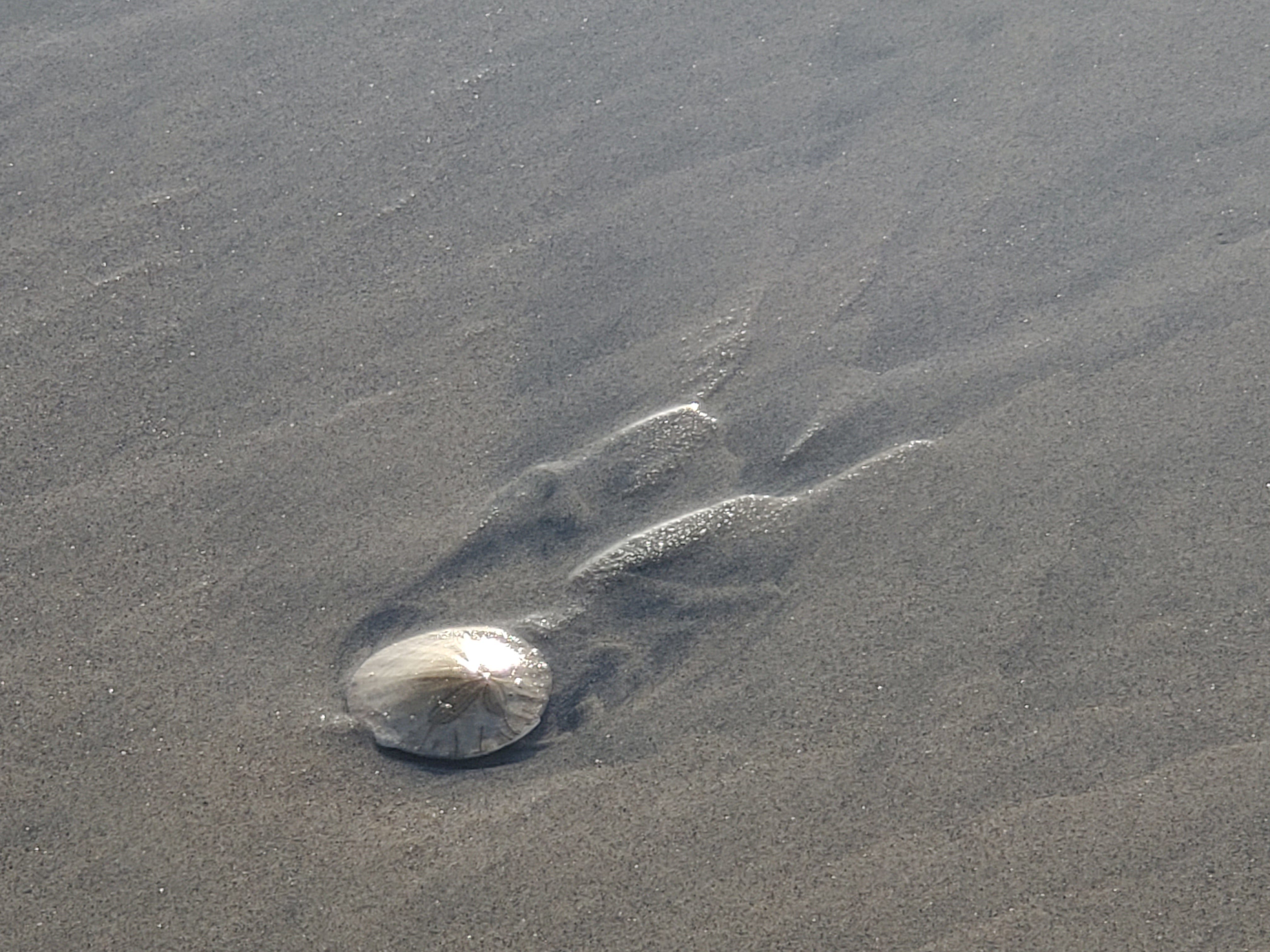 Janet Kadow, Living with Spirit