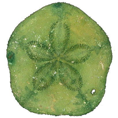 Stream of Subconsciousness