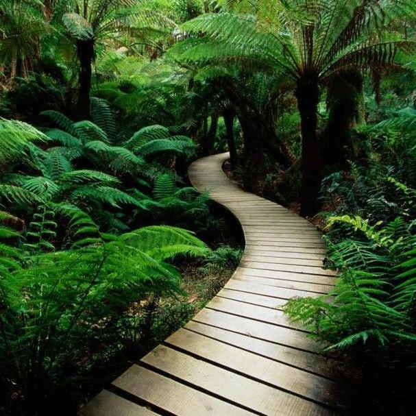 Stream of Subconsciousness