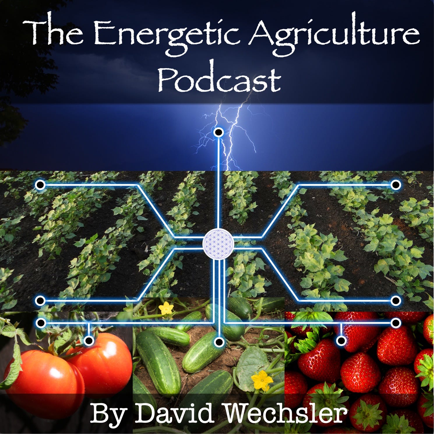 Introduction to Energetic Agriculture