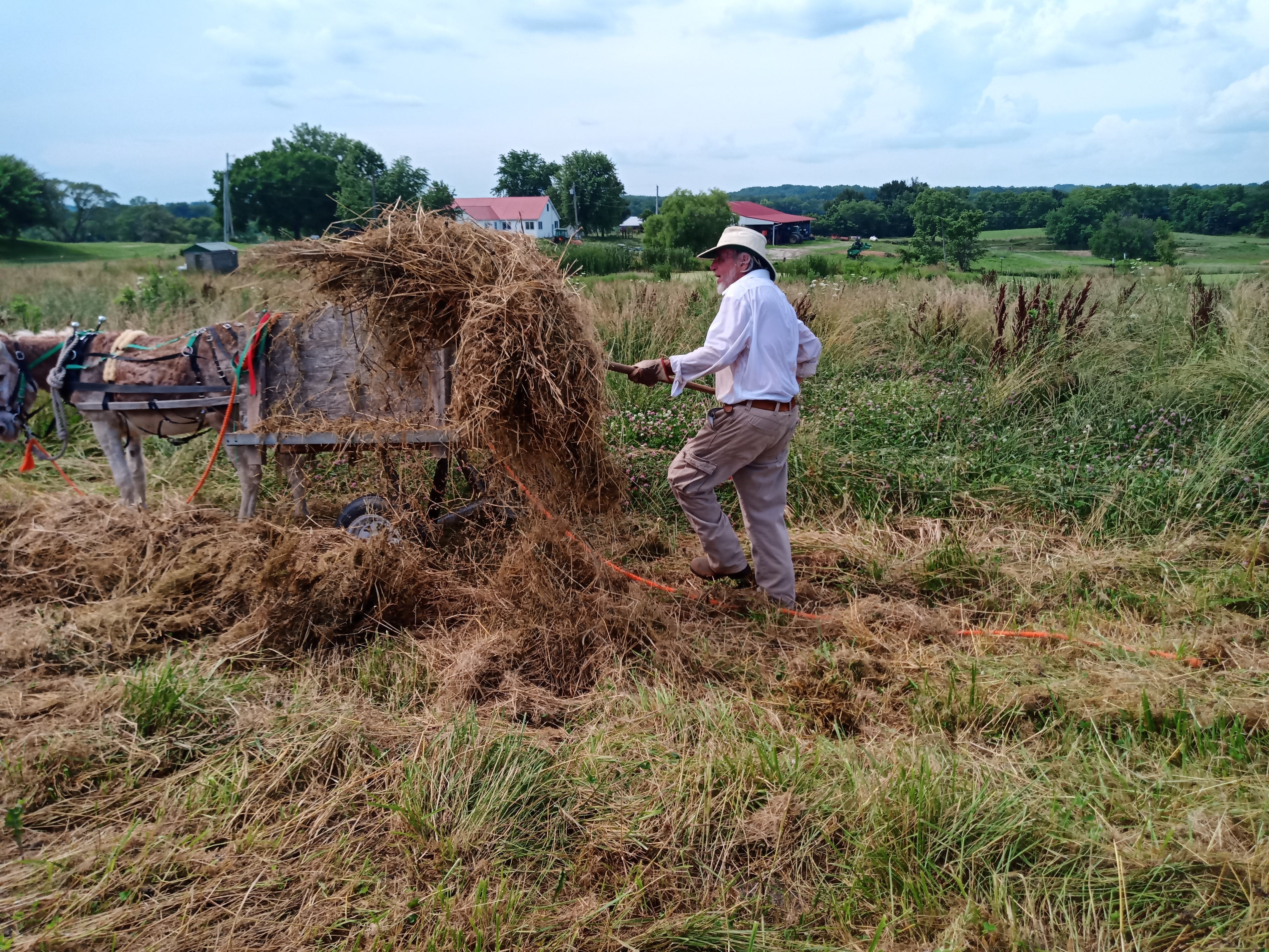 Donkeys, Slowing Down, and Eco-Collapse with Jeff McFadden