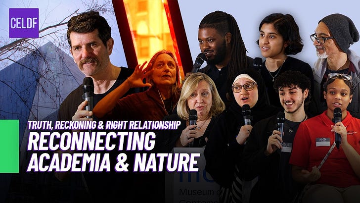 Reconnecting Education and Nature episode artwork