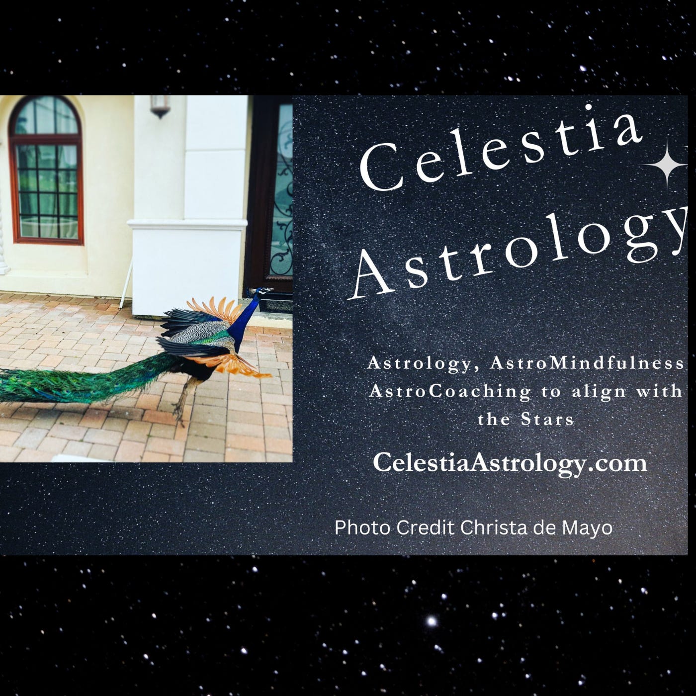 Celestia Astrology - Translating the Stars