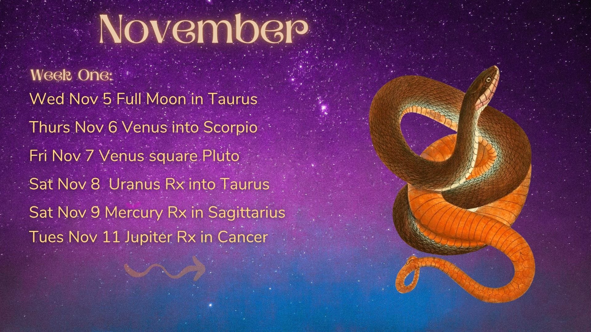 Celestia Astrology - Translating the Stars